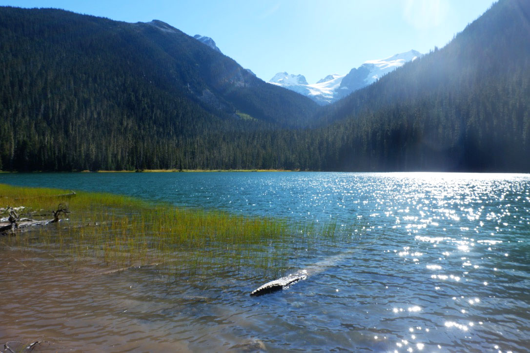  The Lower Joffre Lake is only 10-15 minutes from the trailhead. And it only gets better from here… 