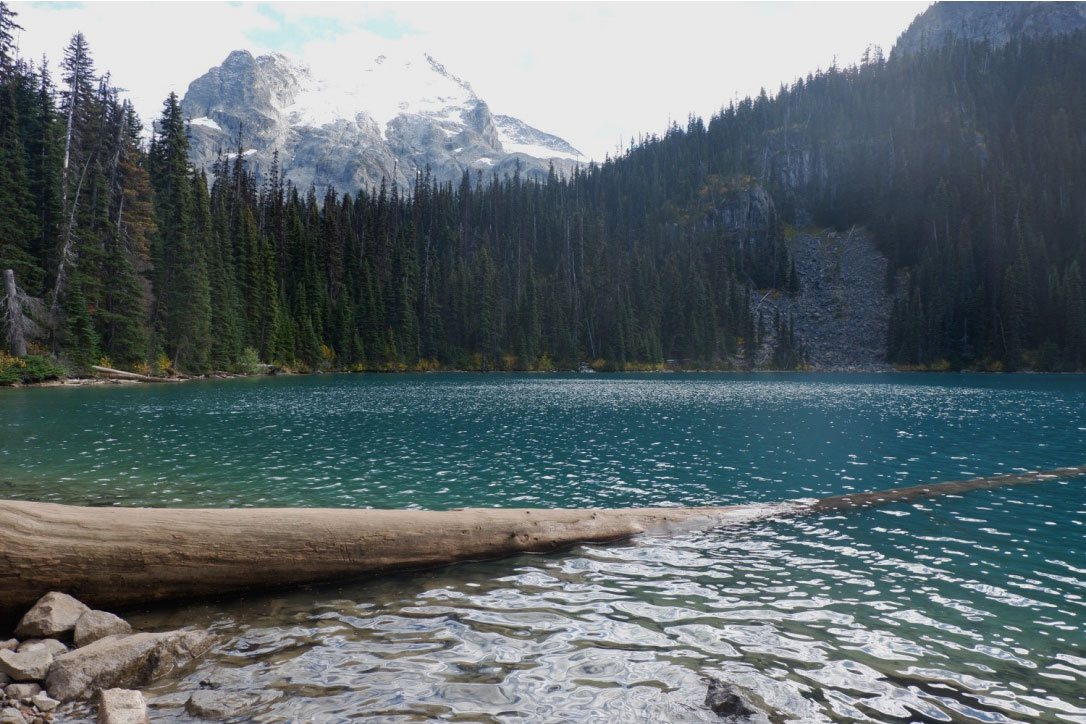  Another iconic Joffre Lakes image - all you need to do to snap a photo on the log is to queue up. I think I waited for half an hour just to stand on that darn log for less than five minutes. Oh well, I guess I can say I’ve been there, done that :x 
