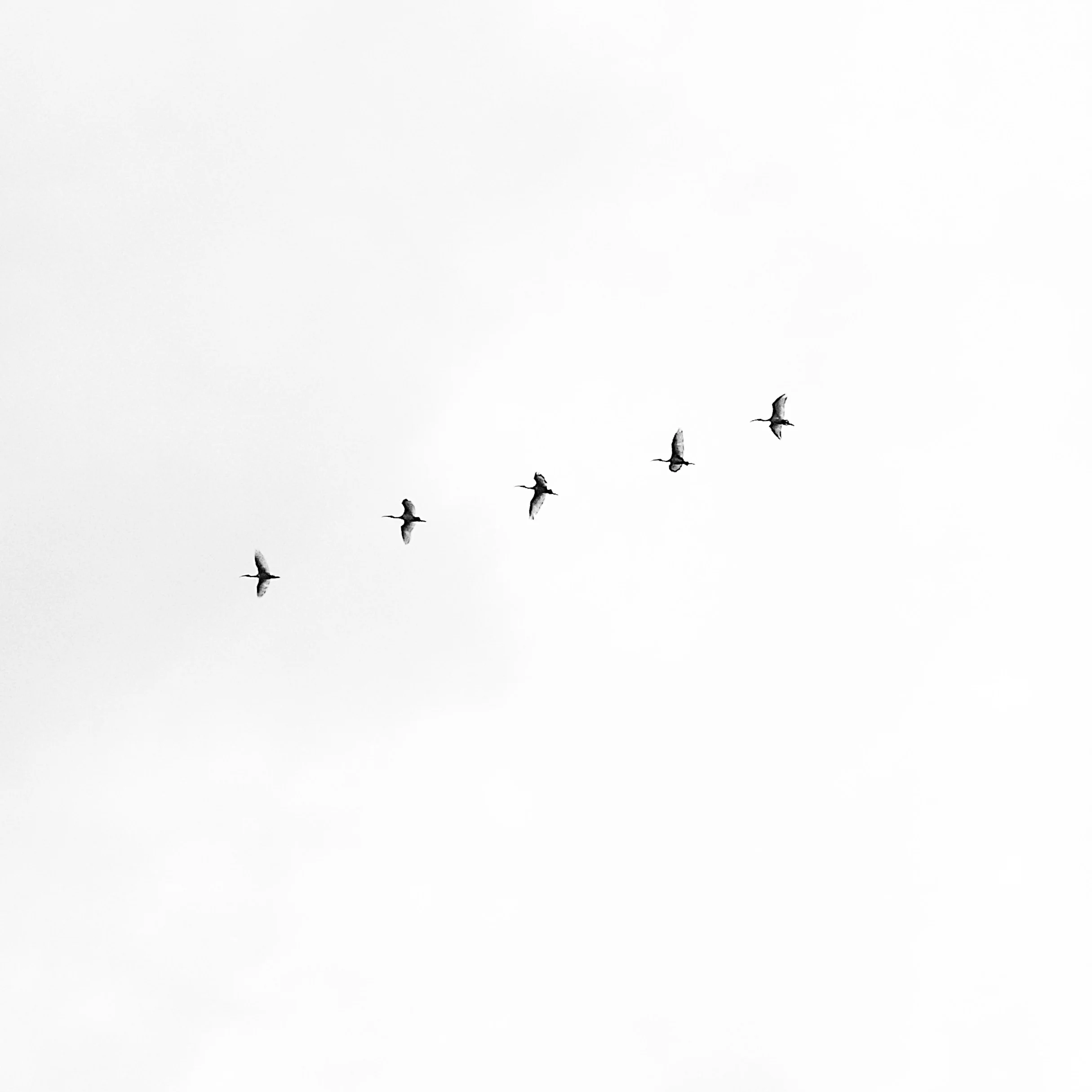 Photo: Megha Ajith/Unsplash