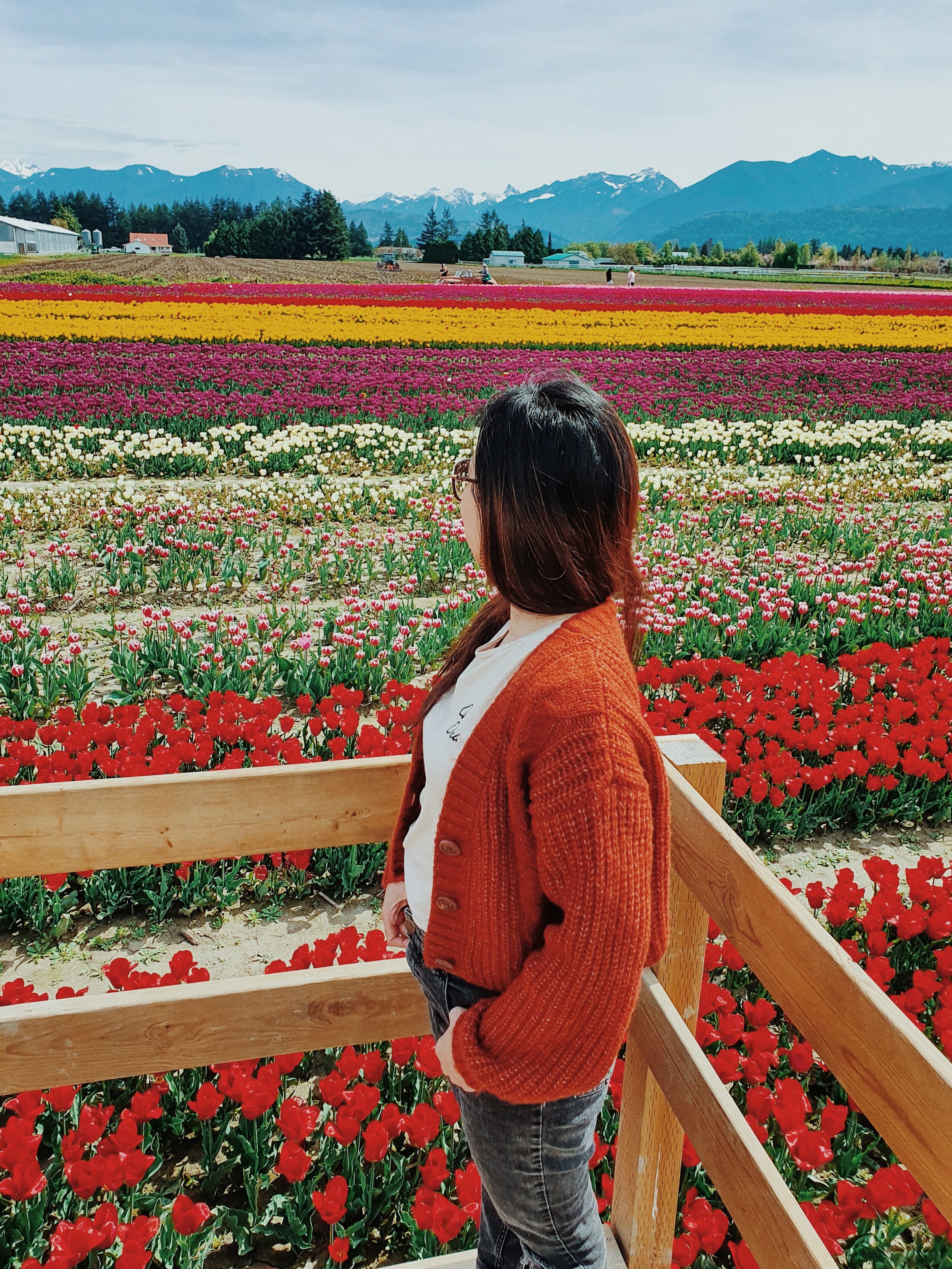 springtime musings: on collecting a devotional bouquet