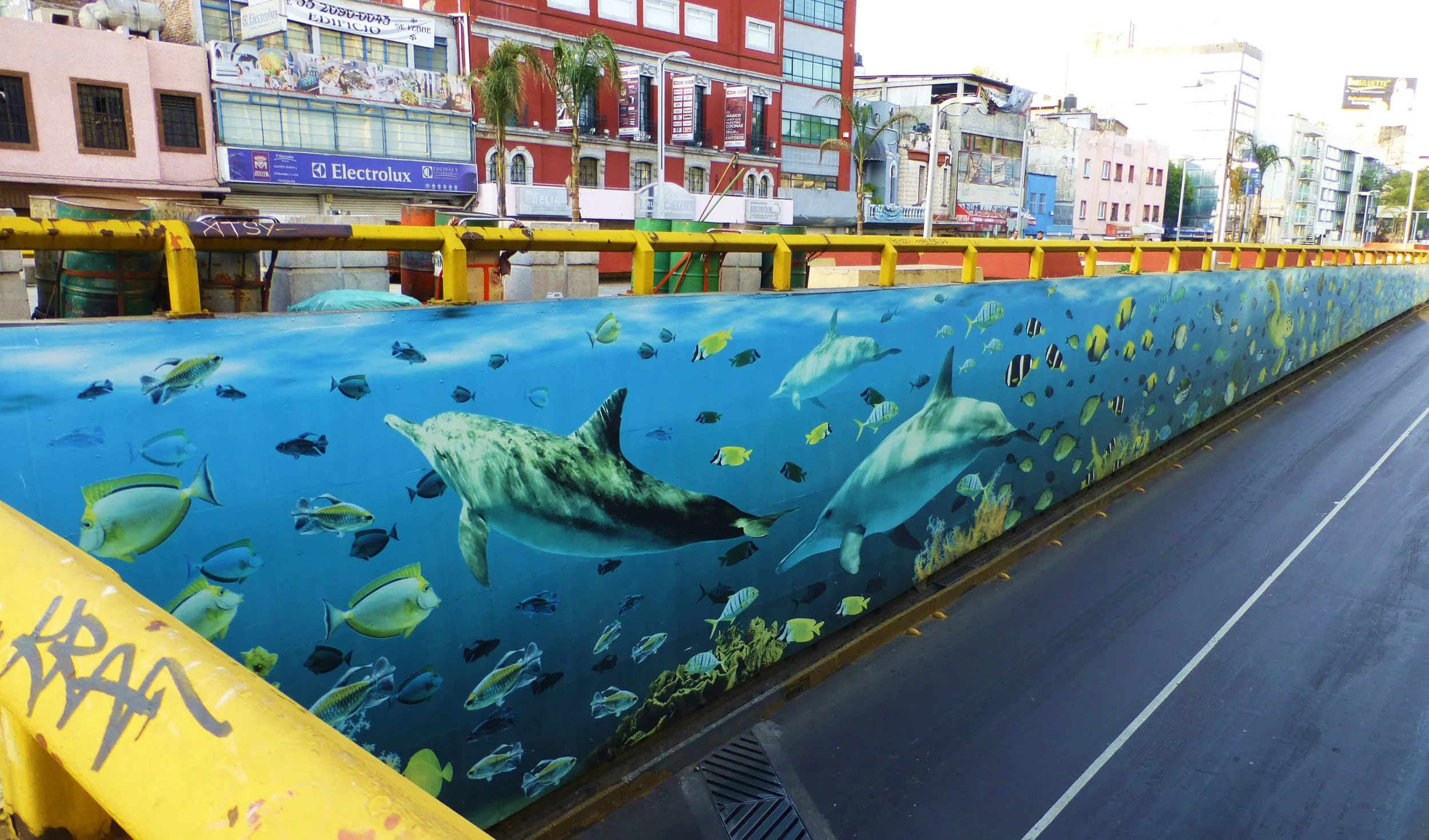 Fish