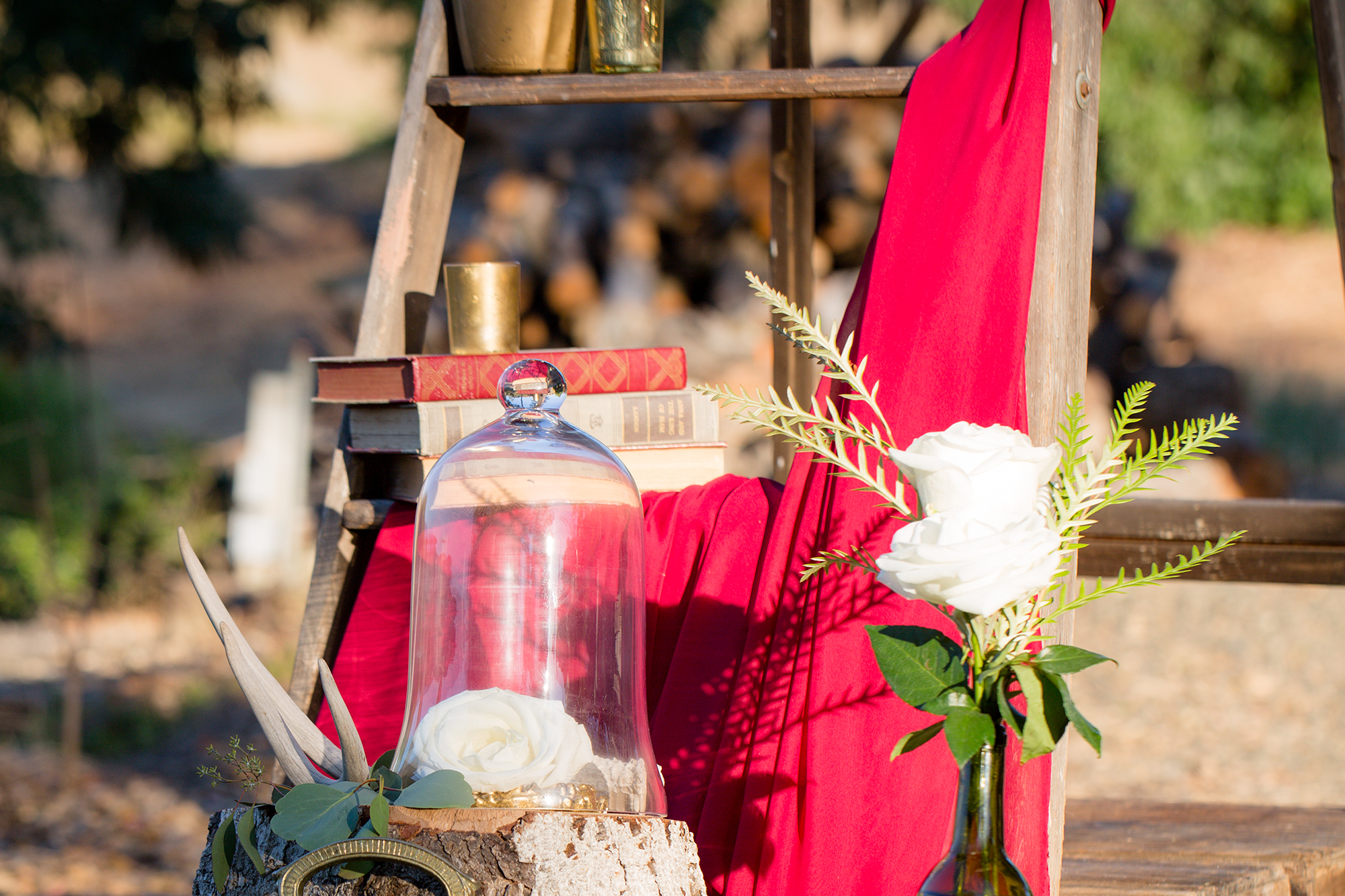 Bell Jars - $20.00 each, $55.00 for set of 3
