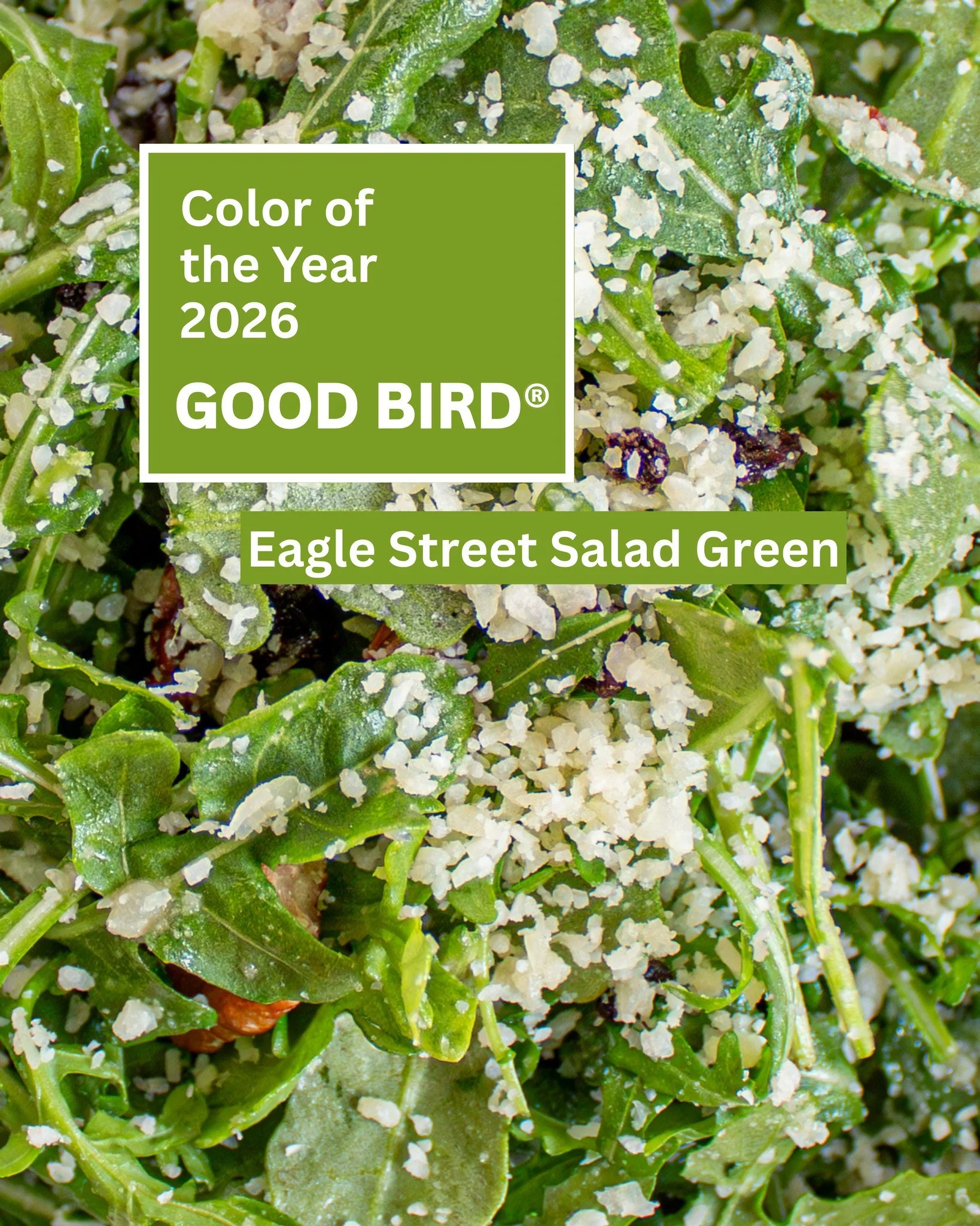 Pantone, we took a creative liberty.

Introducing our Color of the Year: Eagle Street Salad Green 🥗

A fresh mix of arugula, roasted pepper, currants, grated parmesan, and lemon vinaigrette. Crisp, balanced, and clearly in season at Good Bird.

Tren
