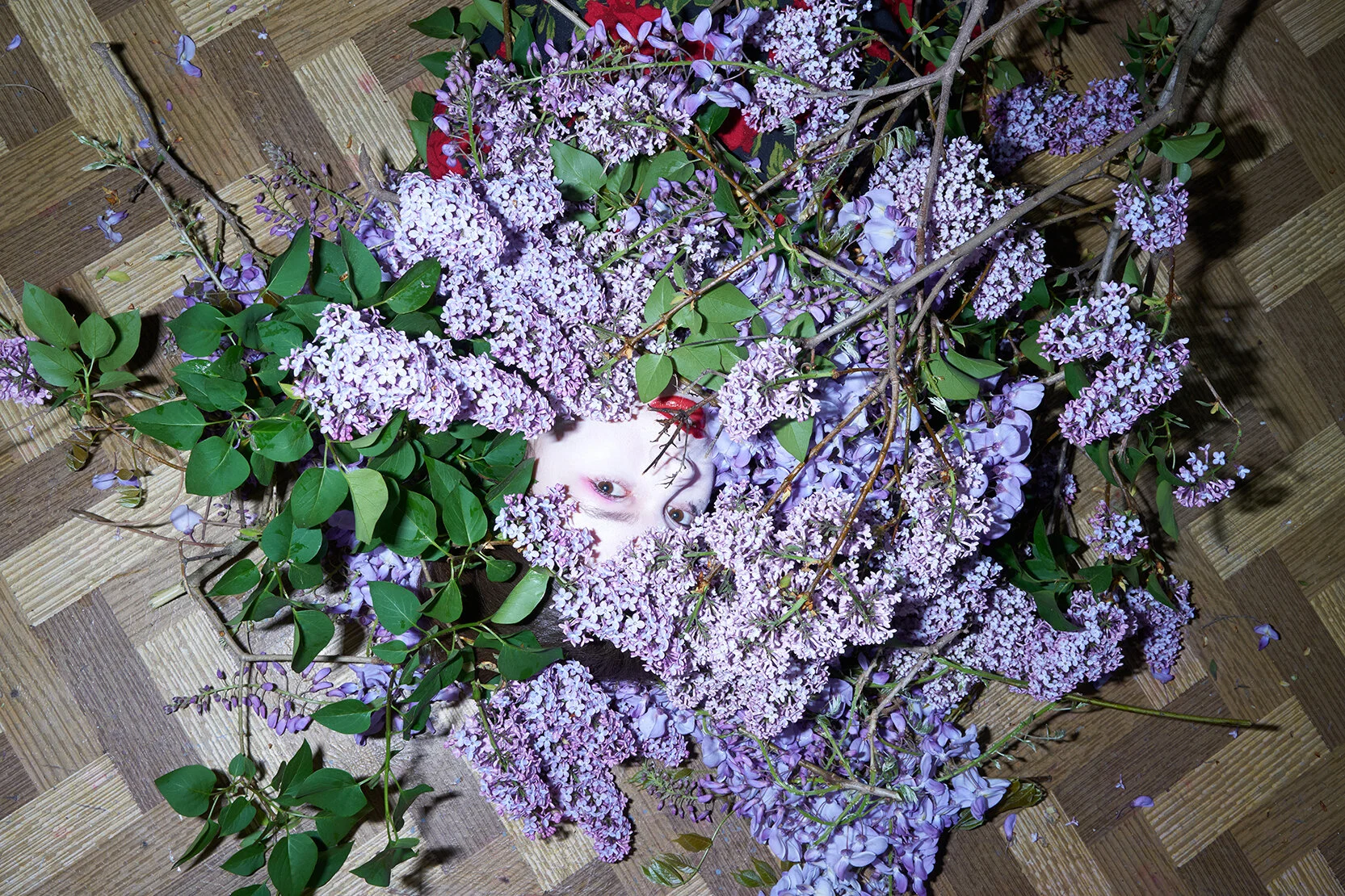 DSC03937.jpg