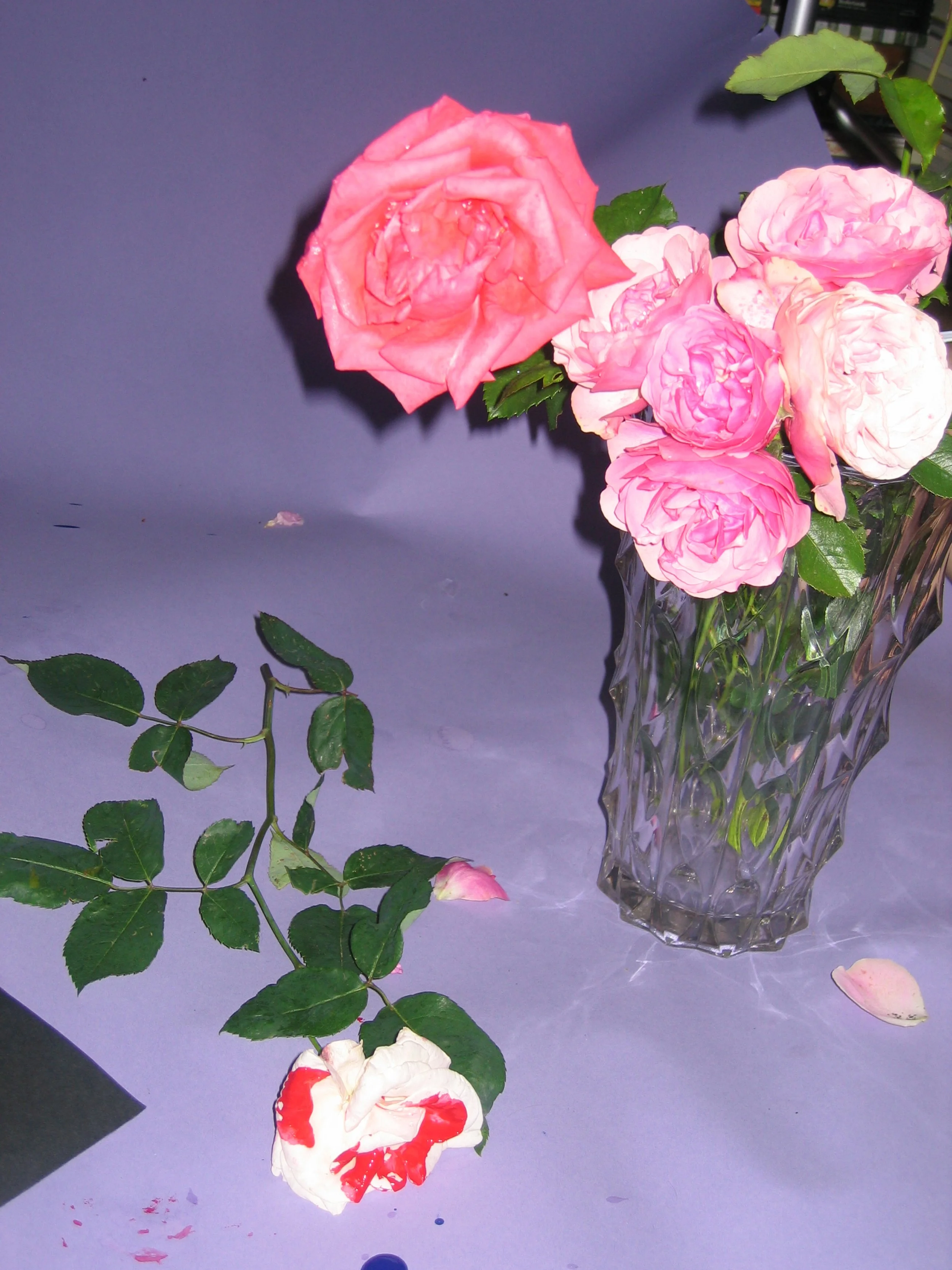 file016296.jpg