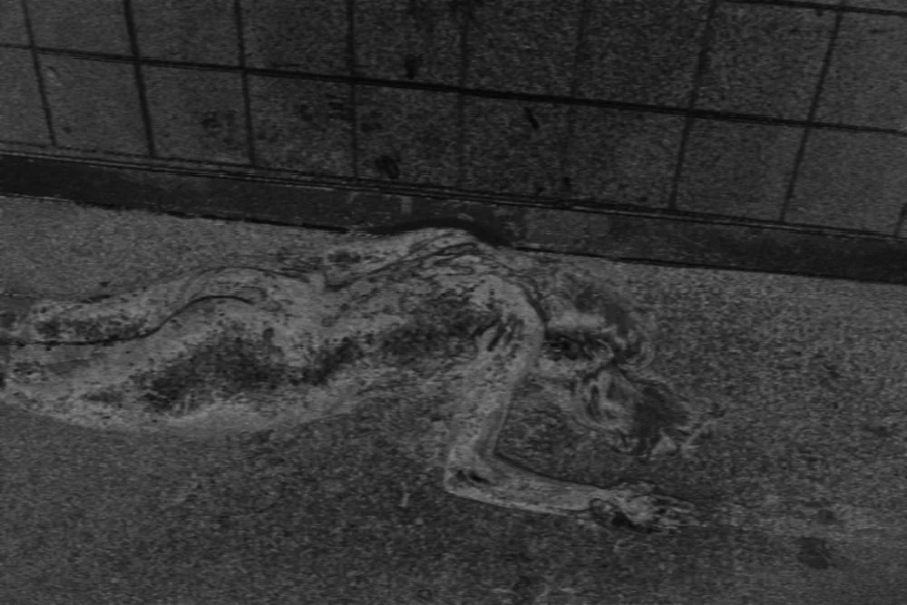 file009201.jpg