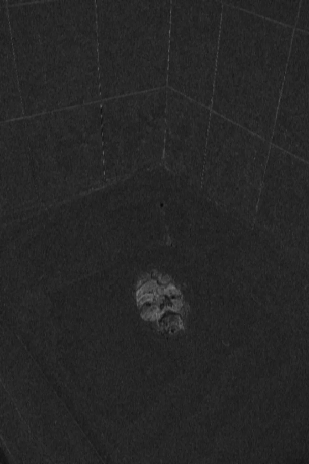 file008088.jpg