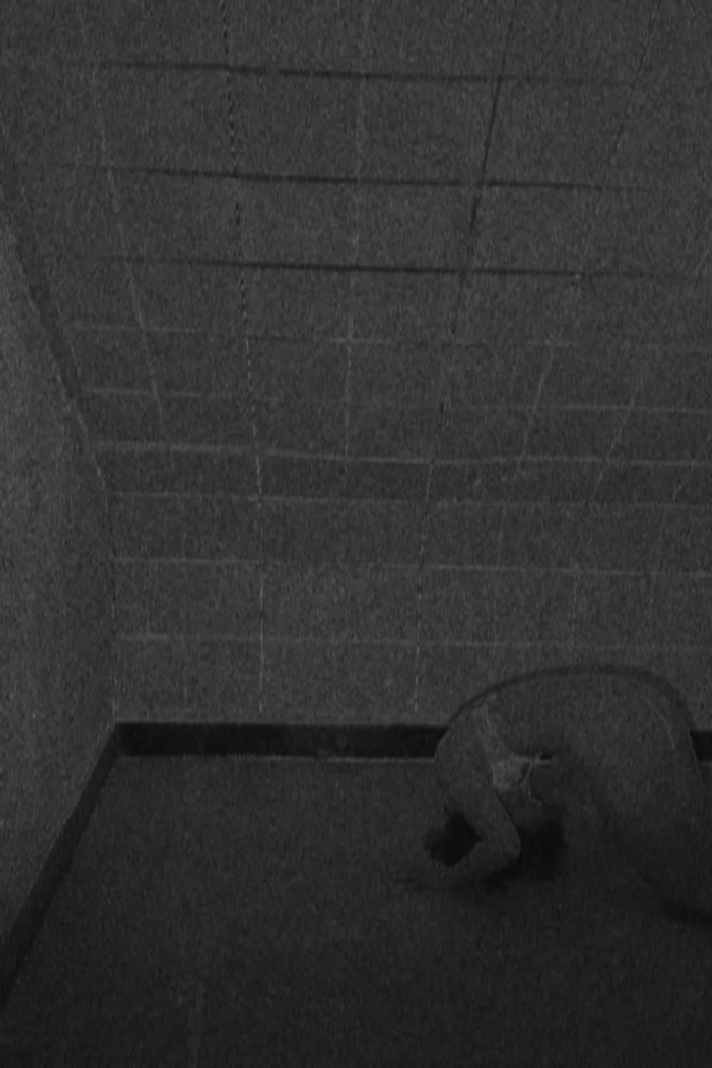 file006573.jpg