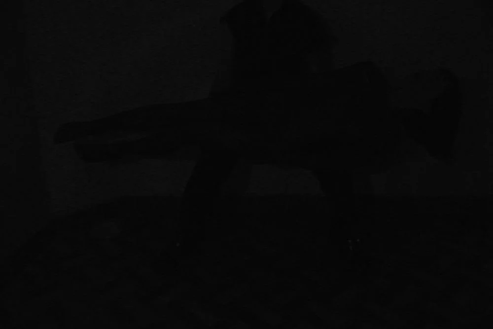 file005247.jpg