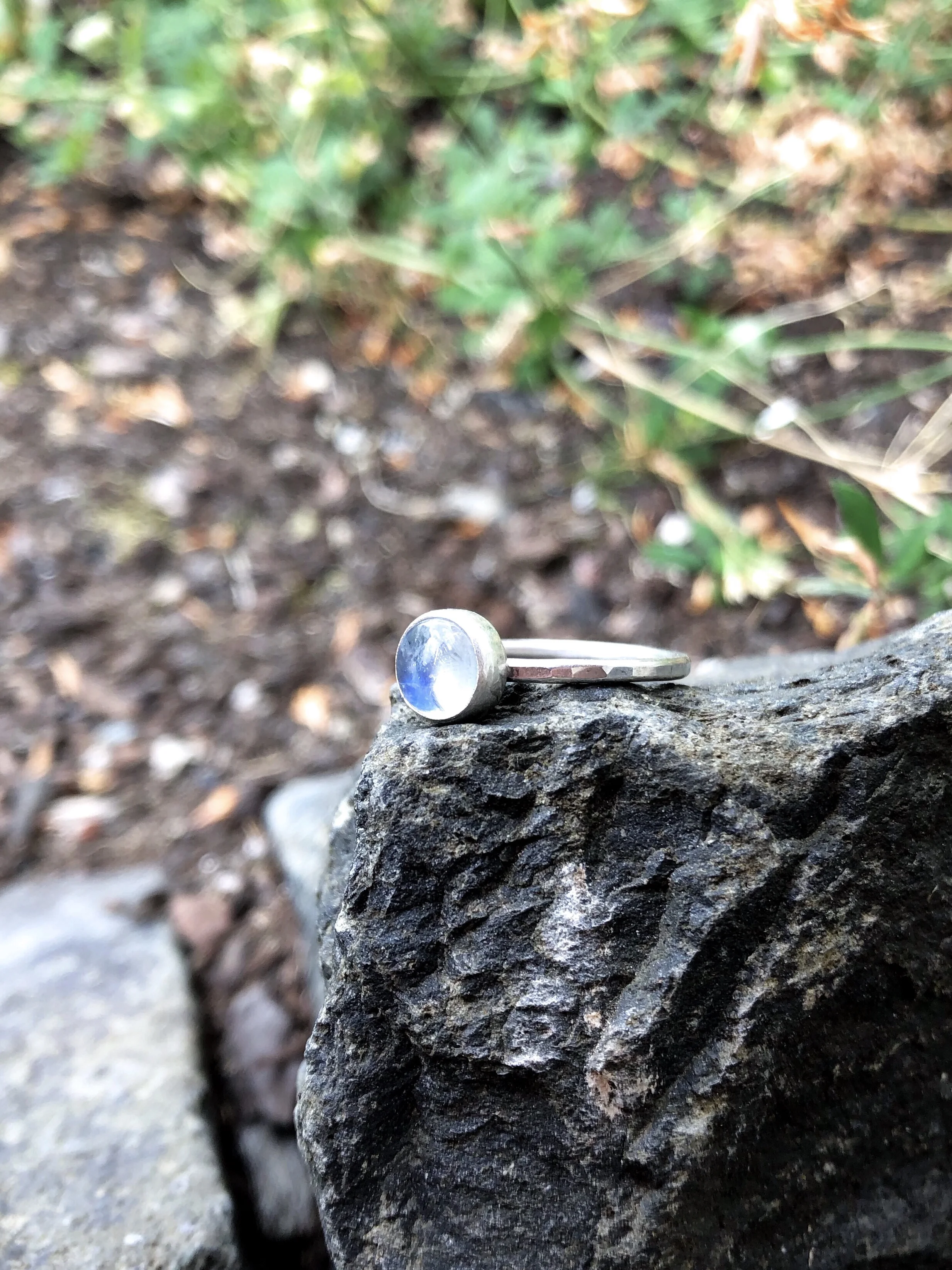 B5DEF8B3-BDB5-4EF3-AE11-39473B6C5E0B