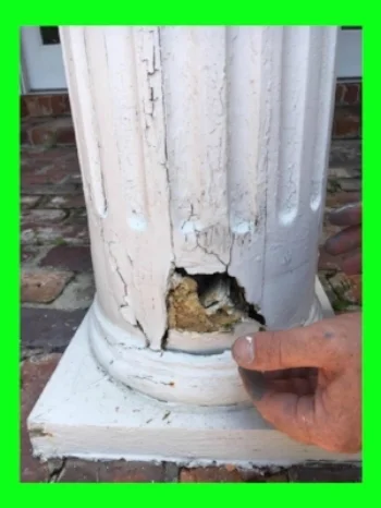 Compound failure can accelerate wood decay