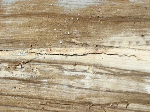 Brittle epoxies crack as wood expands & contracts. Photo above exhibits both adhesion ( left ) & cohesion ( right ) failure.
