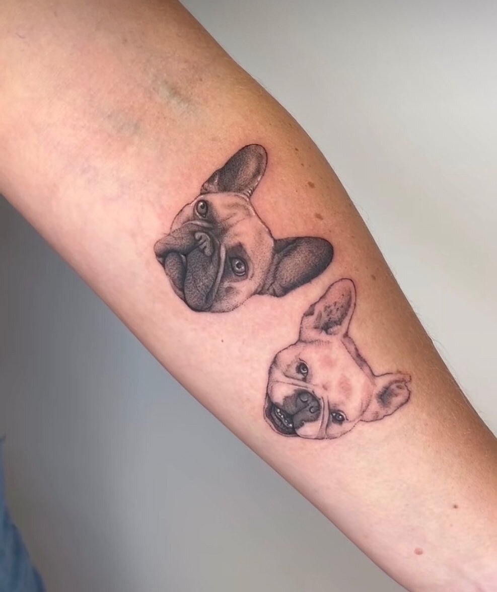 Fineline Dog Portraits by @rebeccabettz !
⠀⠀⠀⠀⠀⠀⠀⠀⠀
If you wish to get tattooed by Rebecca fill out the jotform in her bio 📋 or contact the shop directly!
⠀⠀⠀⠀⠀⠀⠀⠀⠀
📧 3KLI@THREEKINGSTATTOO.COM​​​​​​​​
☎️ 516-771-0112​​​​​​​​
⠀⠀⠀⠀⠀⠀⠀⠀⠀
&bull;
⠀⠀⠀⠀⠀⠀