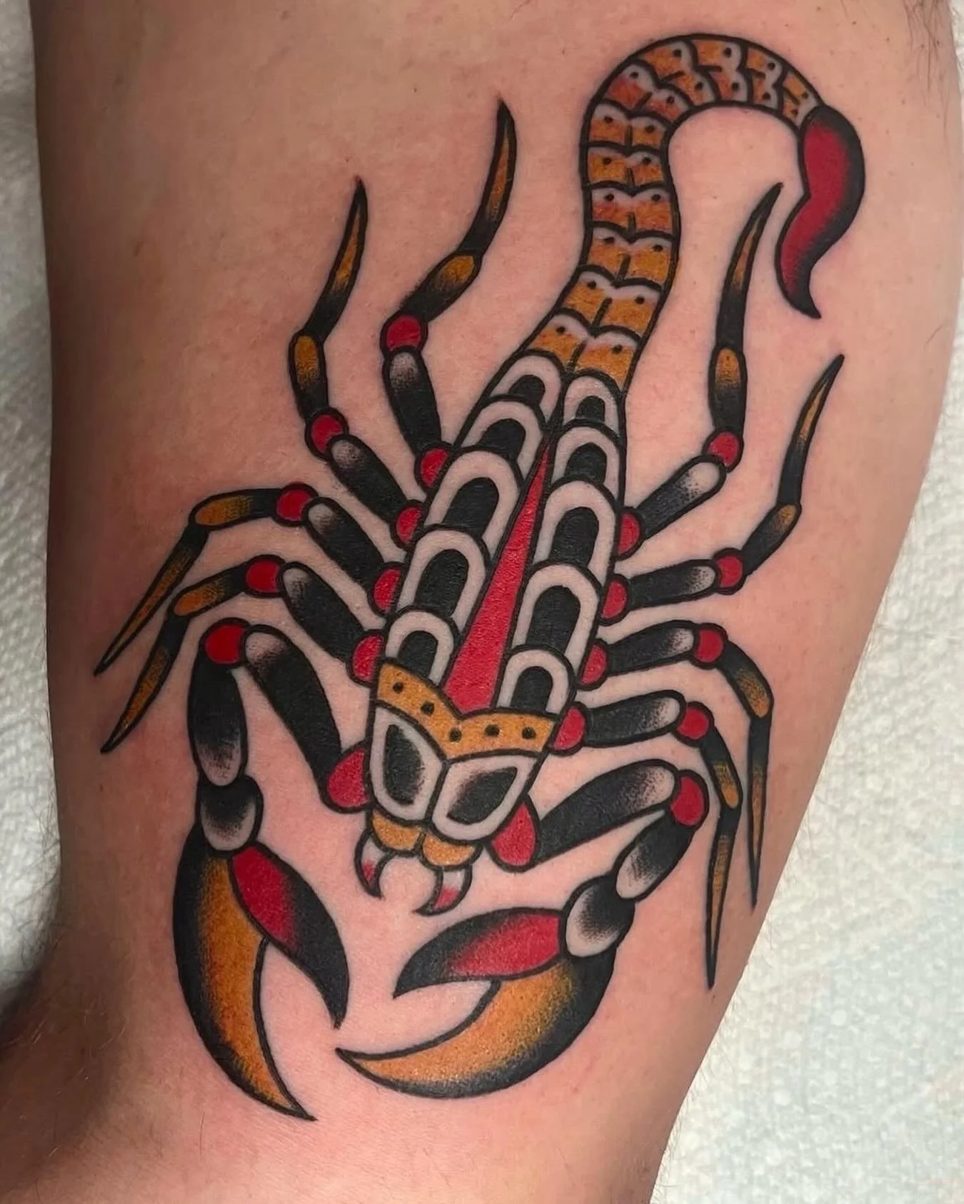 Trad Scorpion by @anthonypapallo ! 
⠀⠀⠀⠀⠀⠀⠀⠀⠀
3KLI@THREEKINGSTATTOO.COM
•
•
•
#3KLI #3KNYC #3KBK #Threekingstattoo #longislandtattoo #nyctattooartist #flashtattoo #flashdesign #scorpiontattoo #scorpion #scorpiondesign #blackandgreytatt