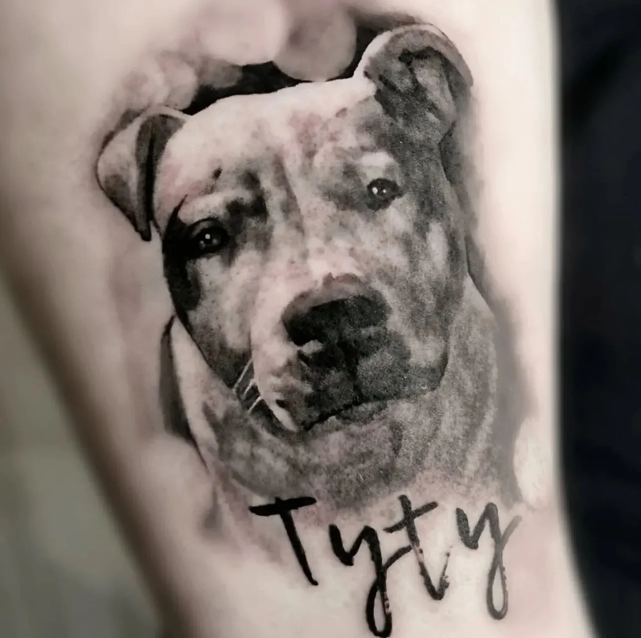 Check out @roxxtattoo for all your pet portrait needs ✨ For walk ins come into the shop on a Thursday or reach out to Rox directly to book in with her! 
.
.
#threekingstattoo #3KLDN #threekingslondon #3K #tattoo #tattooing #london #deptford #brockley