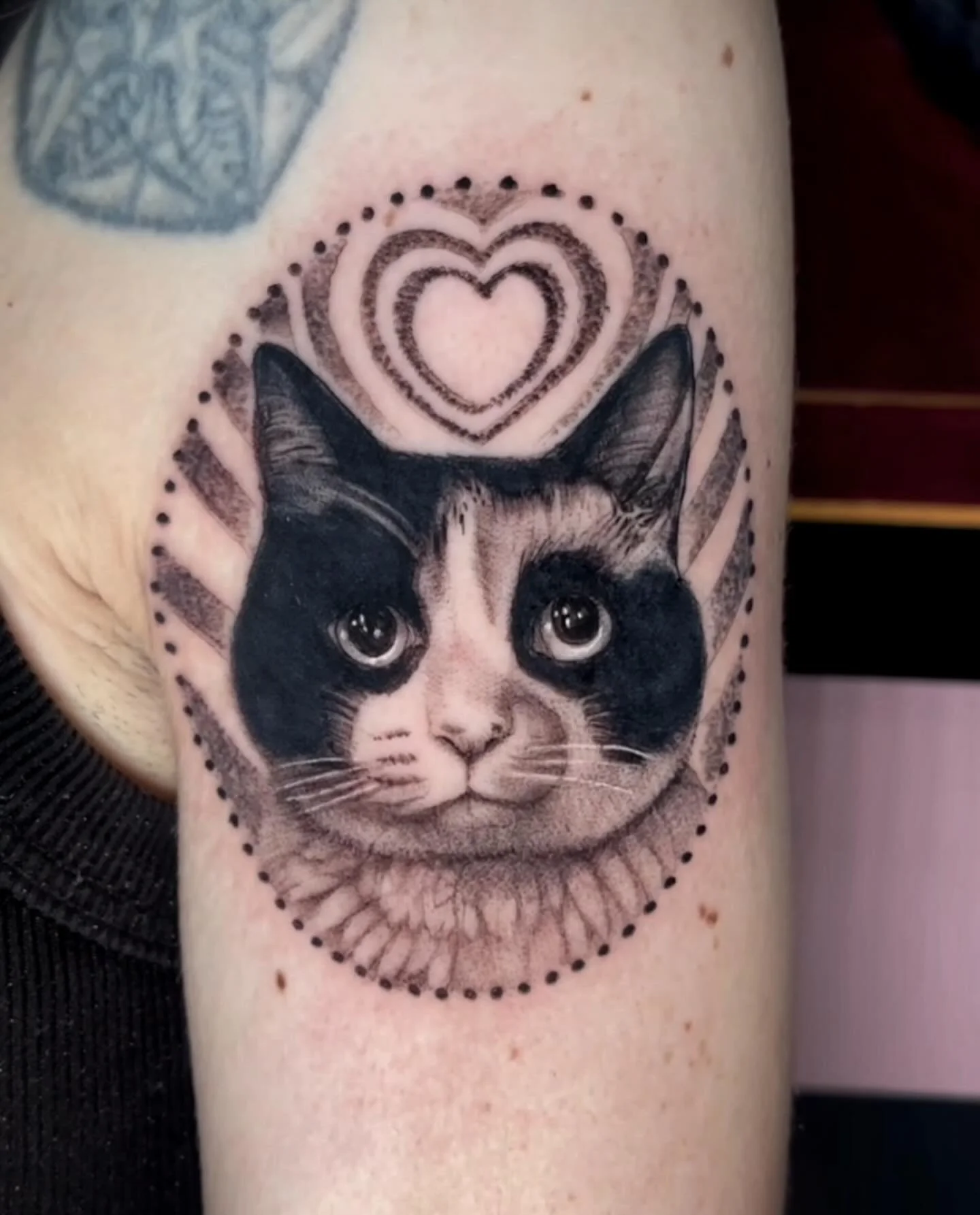Pet portrait by @jandadrawsstuff
3KBK@THREEKINGSTATTOO.COM
.
.
.
#threekingstattoo #catsofinsta #blackandgreytattoo #tattoosnob #tattoos