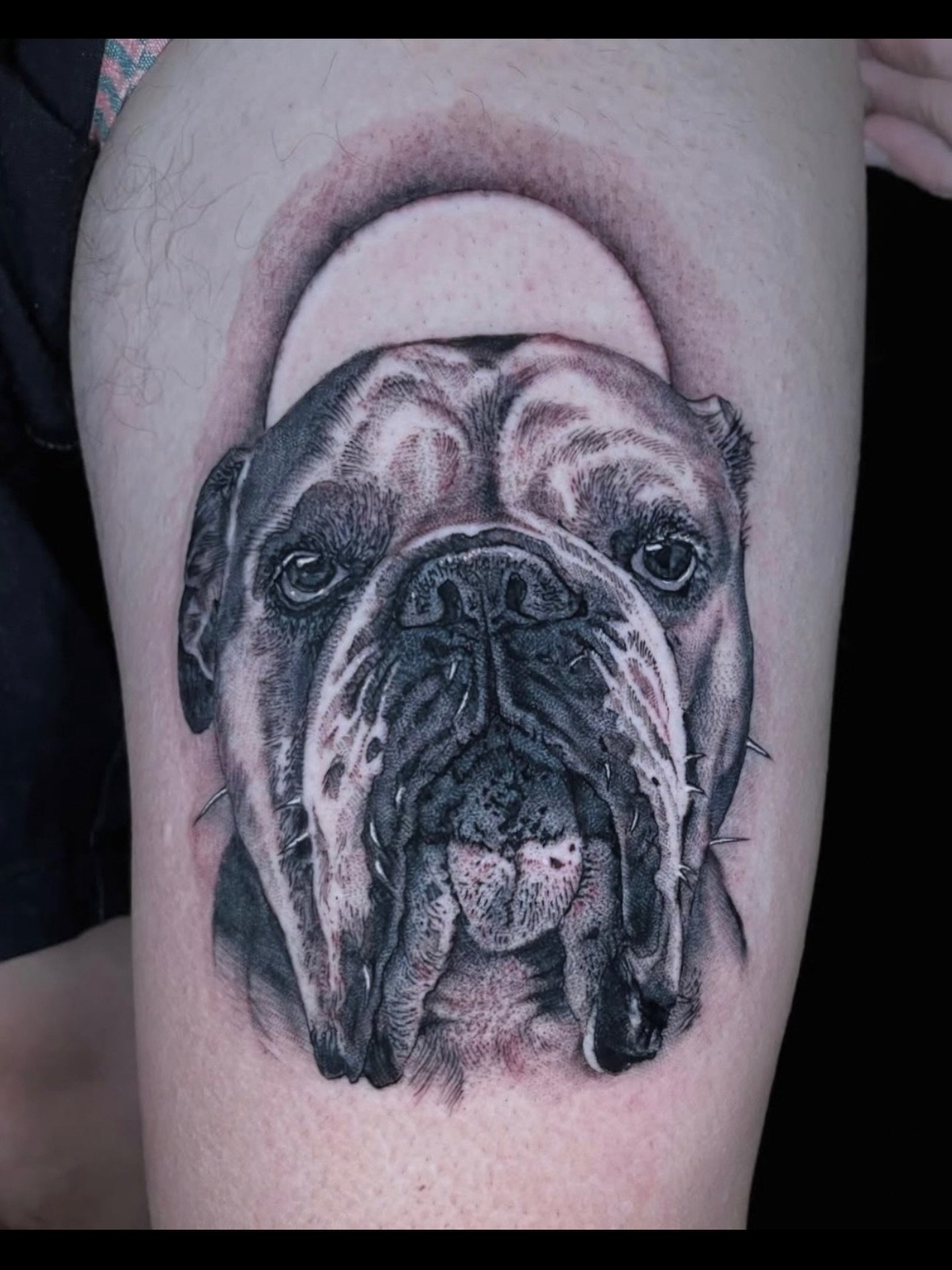 Bulldog by @lorenaskunkrocker 
3KBK@THREEKINGSTATTOO.COM
.
.
.
#dogtattoo #portraittattoo #blackandgraytattoo #photorealismtattoo #tattoosareeveryone