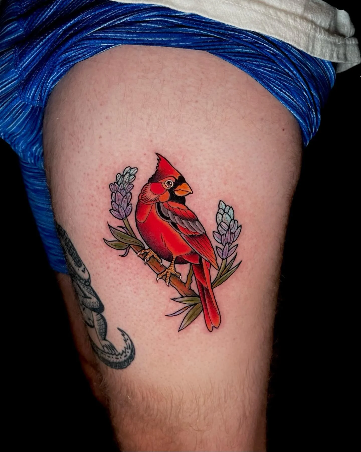 Cardinal by @frida_sedgwick
3KBK@THREEKINGSTATTOO.COM
.
.
.
#threekingstattoo #birdsofinstagram #ladytattooers #brooklyn #birds