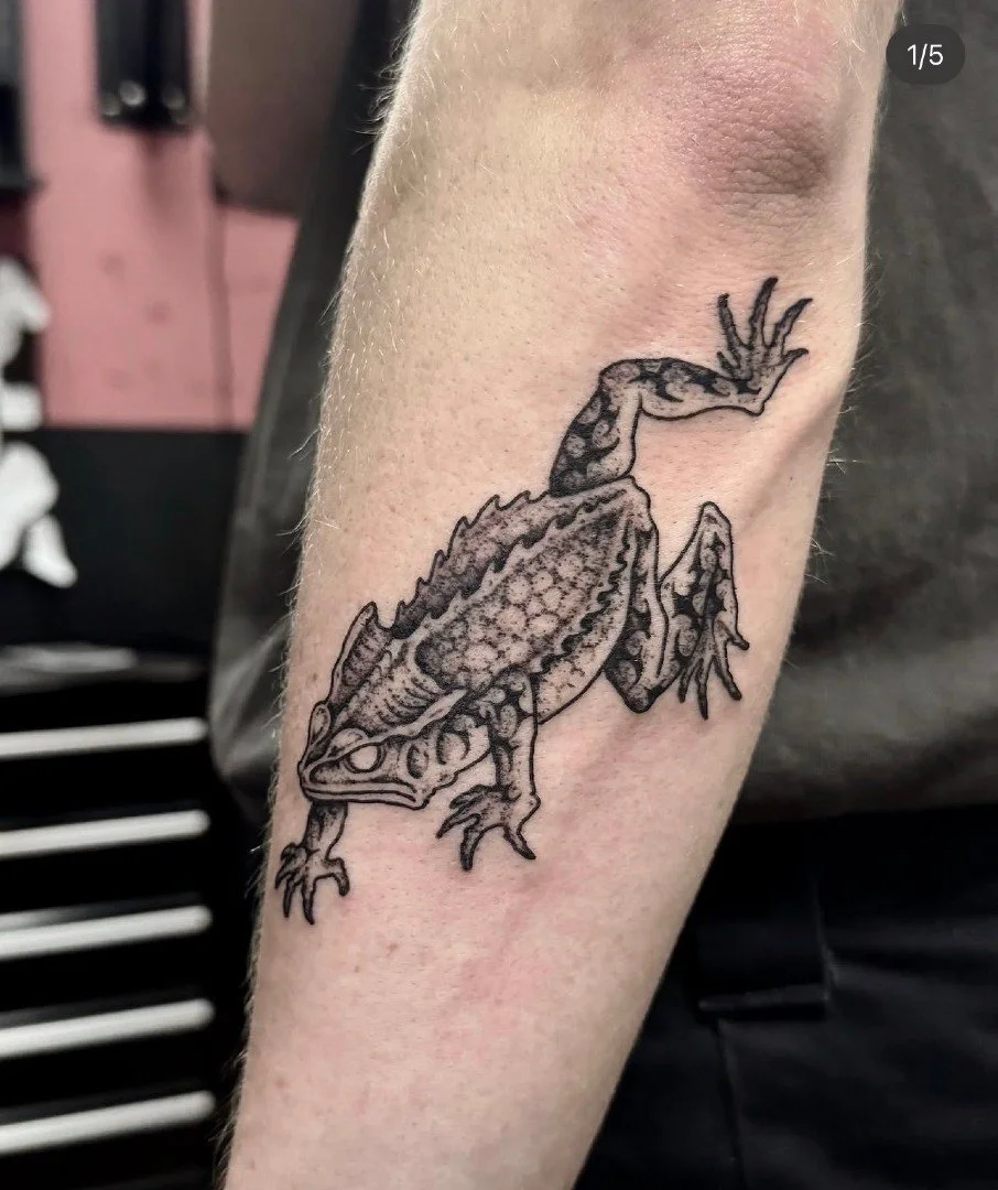 A toad a day keeps the doctor away @slimesociety 🫡 Reach out to Colin directly to book for April and May!
