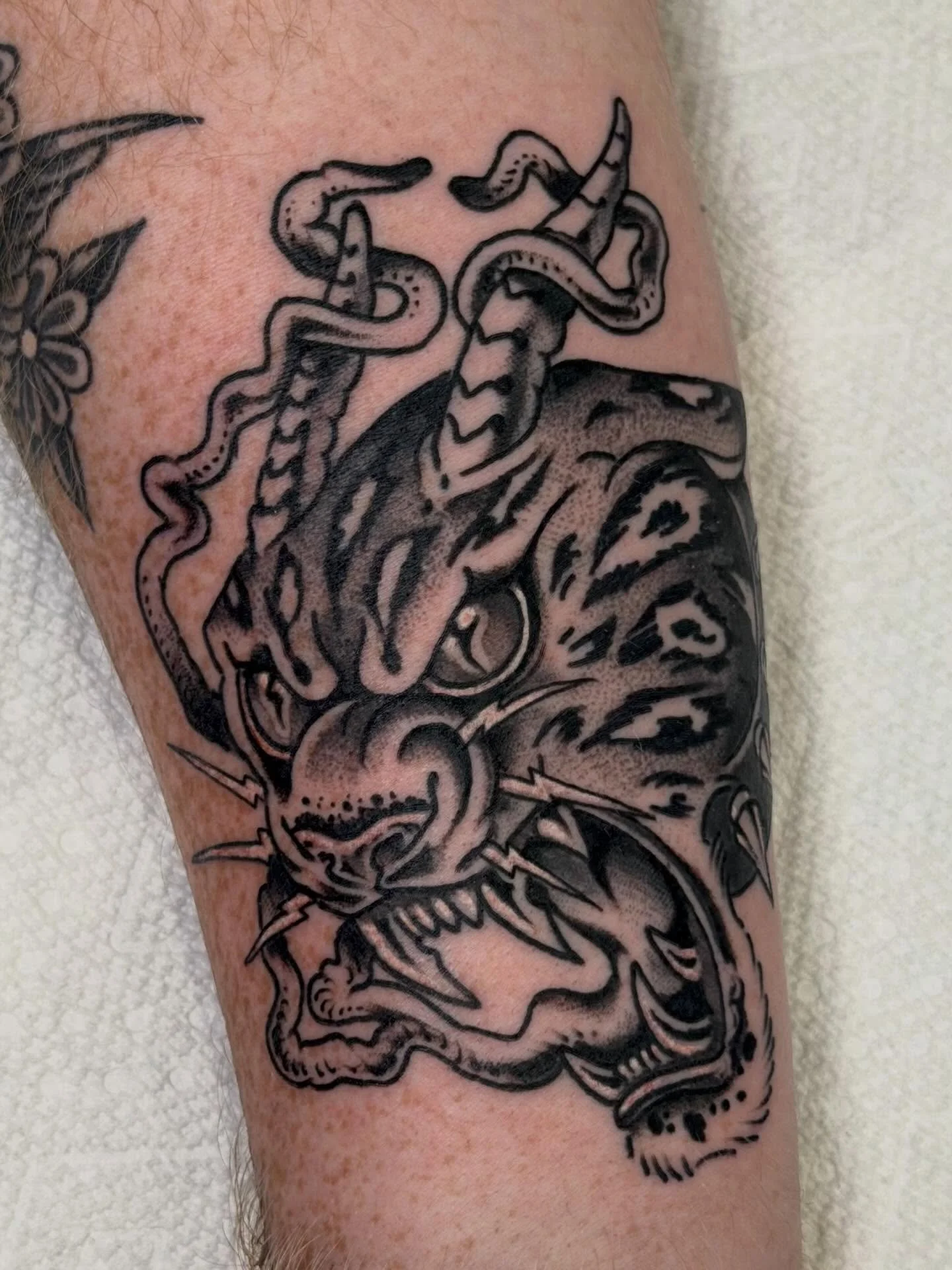 An apex predator by @lorenaskunkrocker
3KBK@THREEKINGSTATTOO.COM
.
.
.
#threekingstattoo #tattoosnob #blackandgreytattoo #tattoopunks #newyorkcity