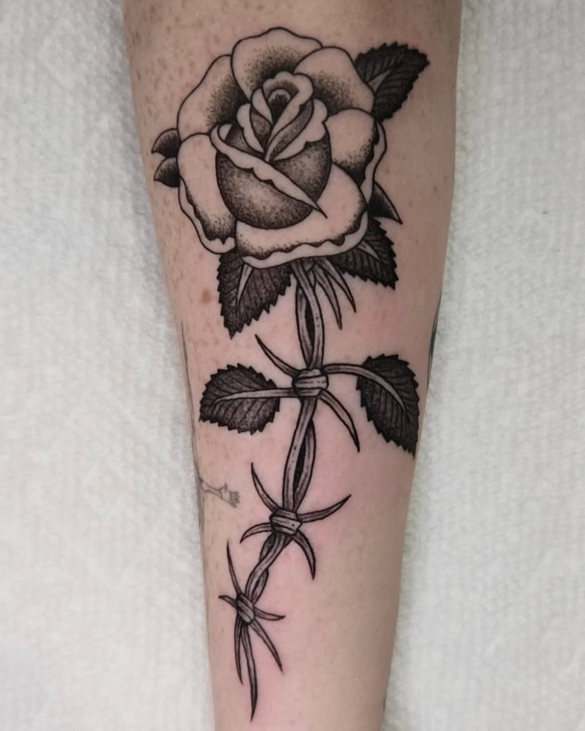 Every rose has its thorn 🥀 Tattoo by @brenn_cox☝️
3KBK@THREEKINGSTATTOO.COM
.
.
.
#threekingstattoo #skinarttraditional #newyorkcity #brooklyn #tattooartist