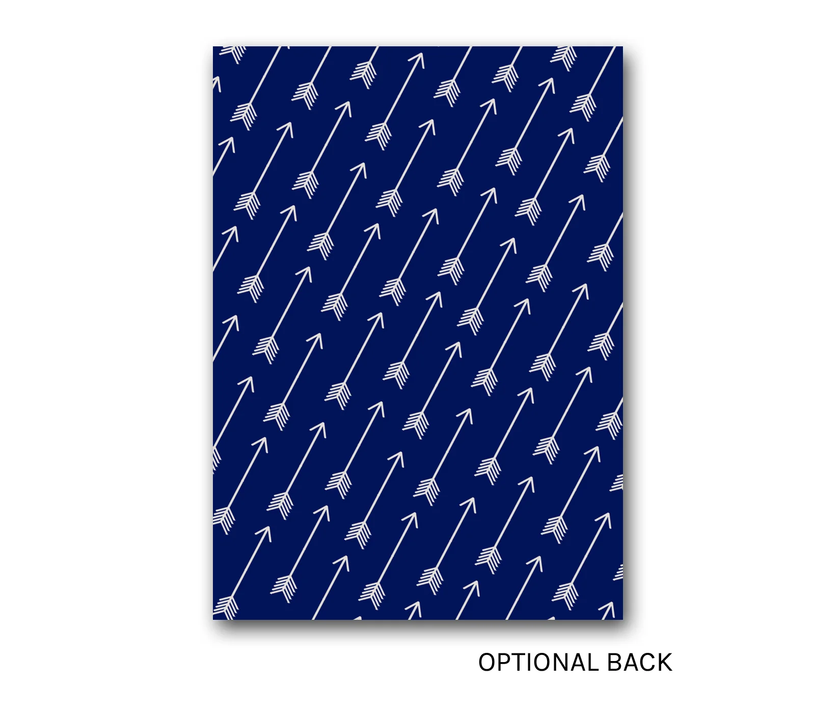 Disp204_BACK.jpg