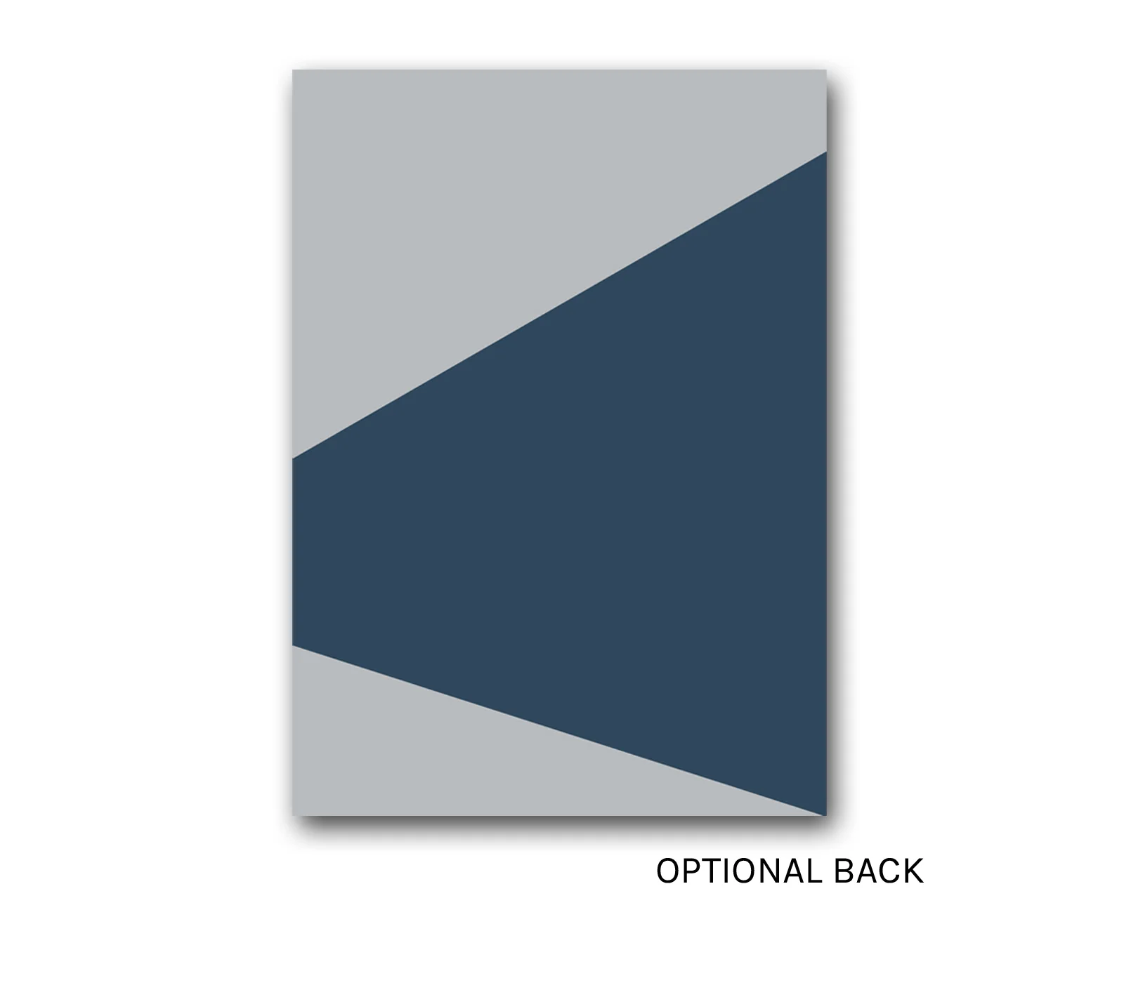 Disp202BACK.jpg
