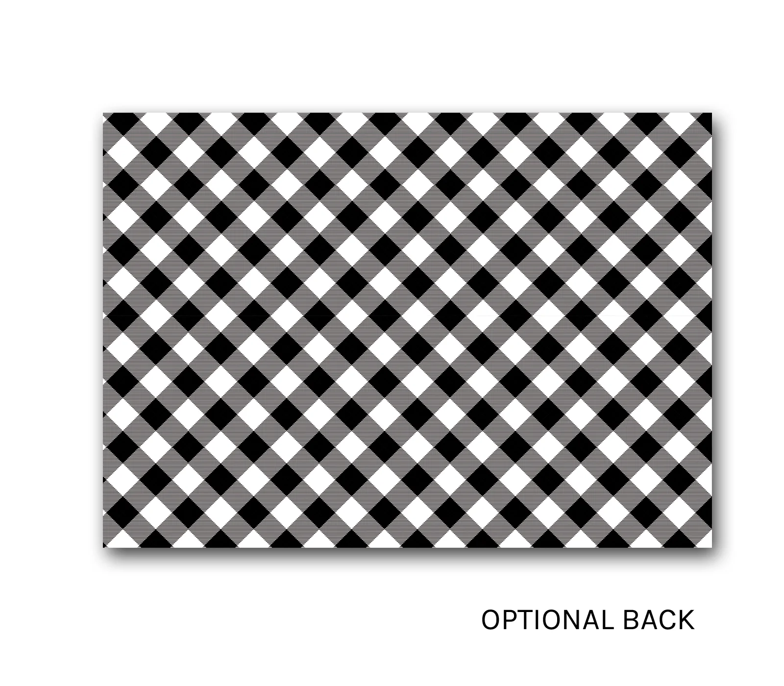 Disp1212_137BACK.jpg
