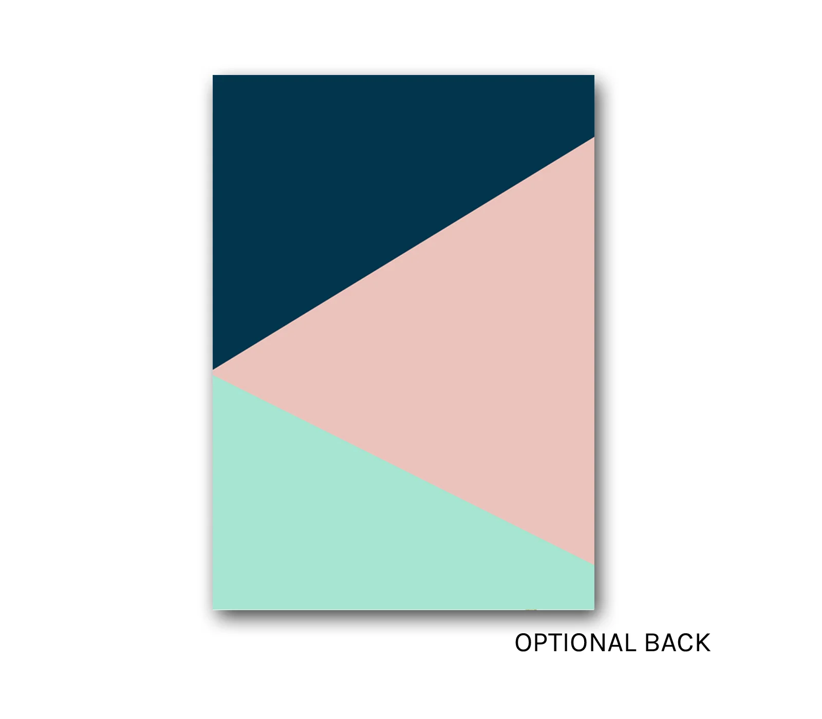 Disp250BACK.jpg
