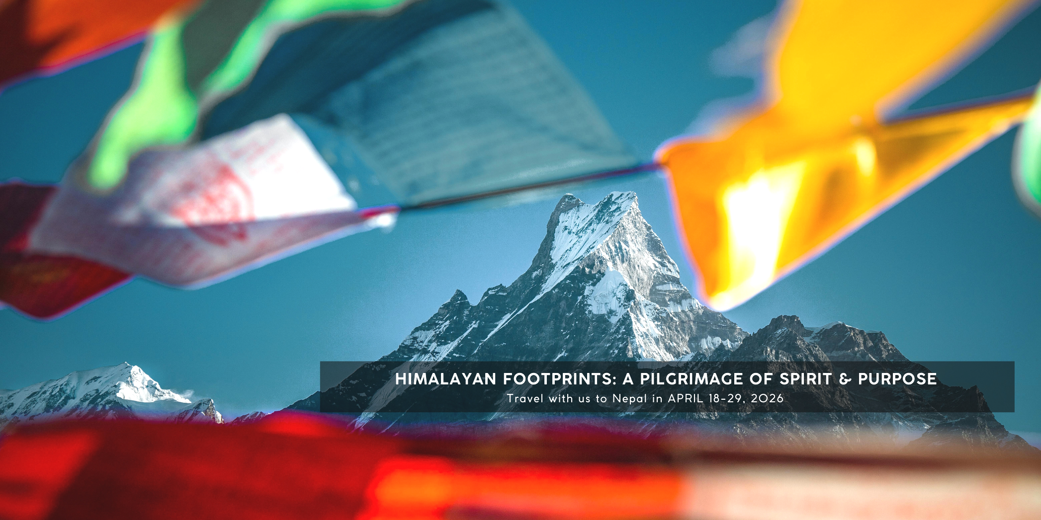 Website Trip Header.png