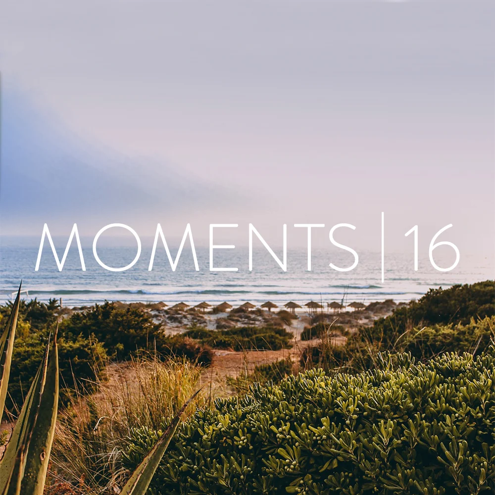 moments16.jpg