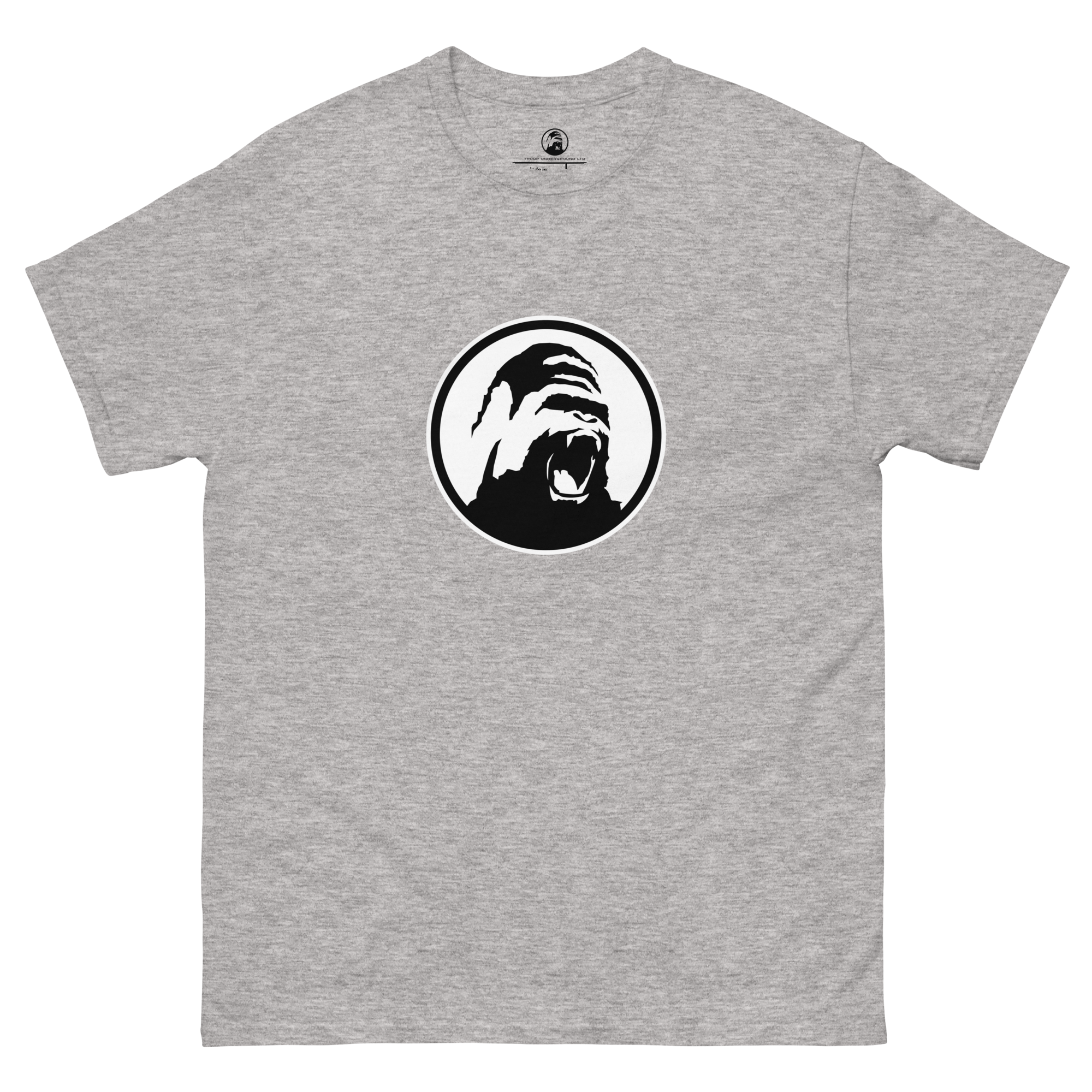 unisex-classic-tee-sport-grey-front-6a57eadad5962.png