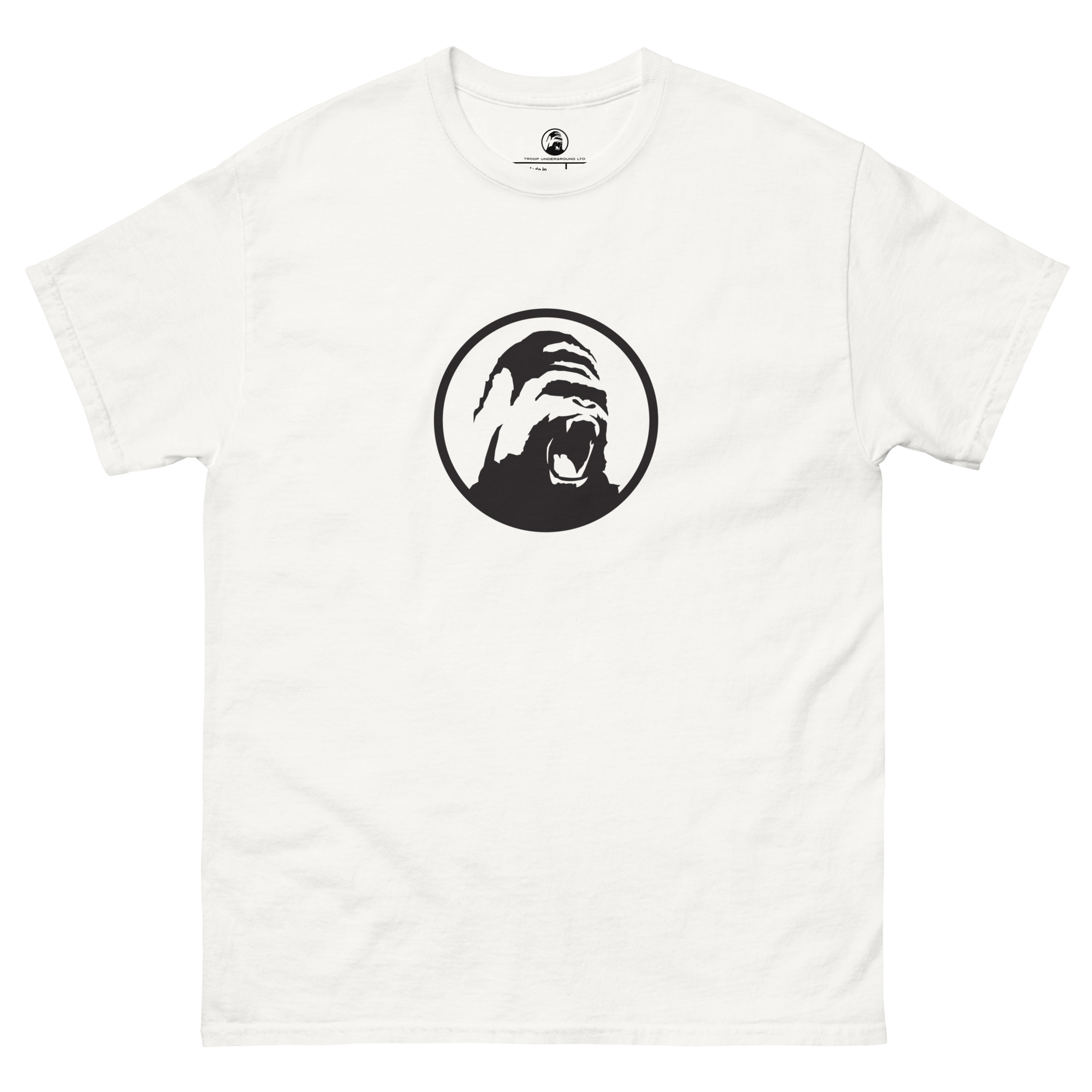 unisex-classic-tee-white-front-6a57eb0a7b520.png