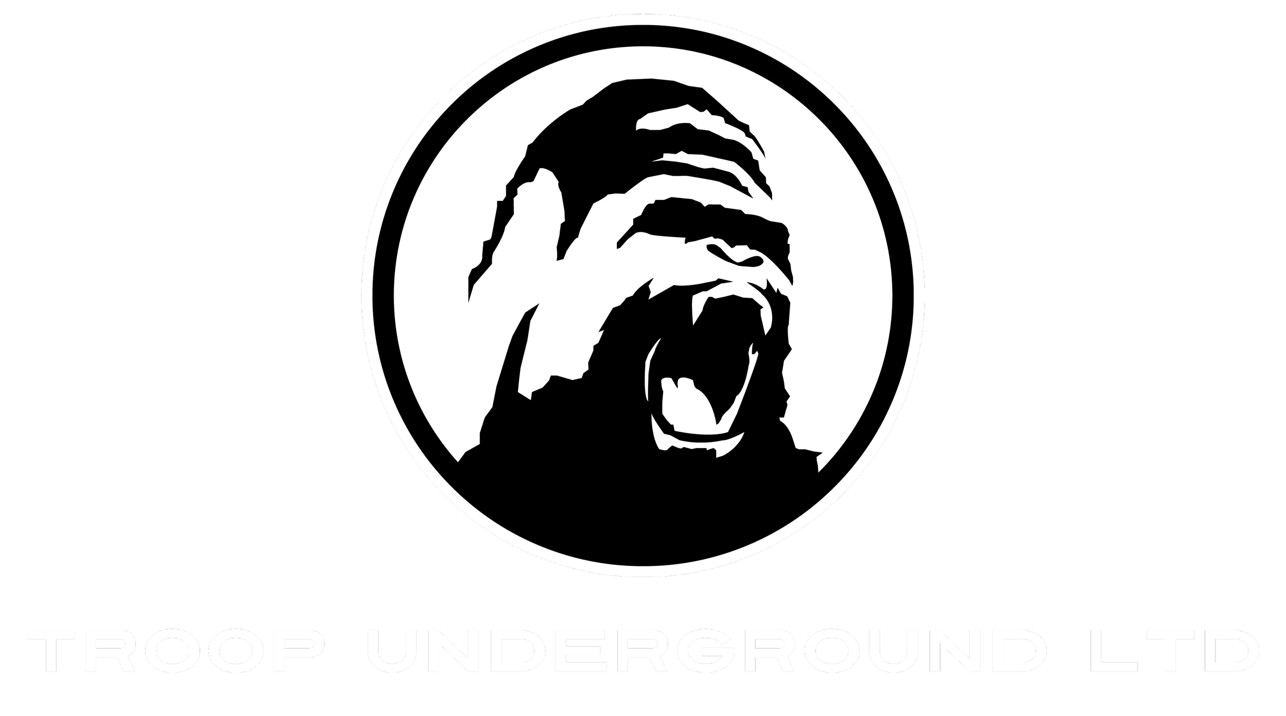 Guerilla Pop