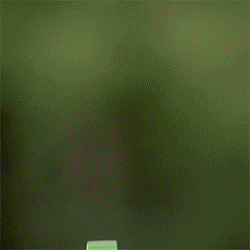 42135_Simple_Set_2_Loop_3_v2.gif