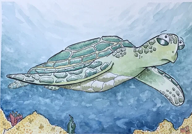 Nervous SeaTurtle.jpg