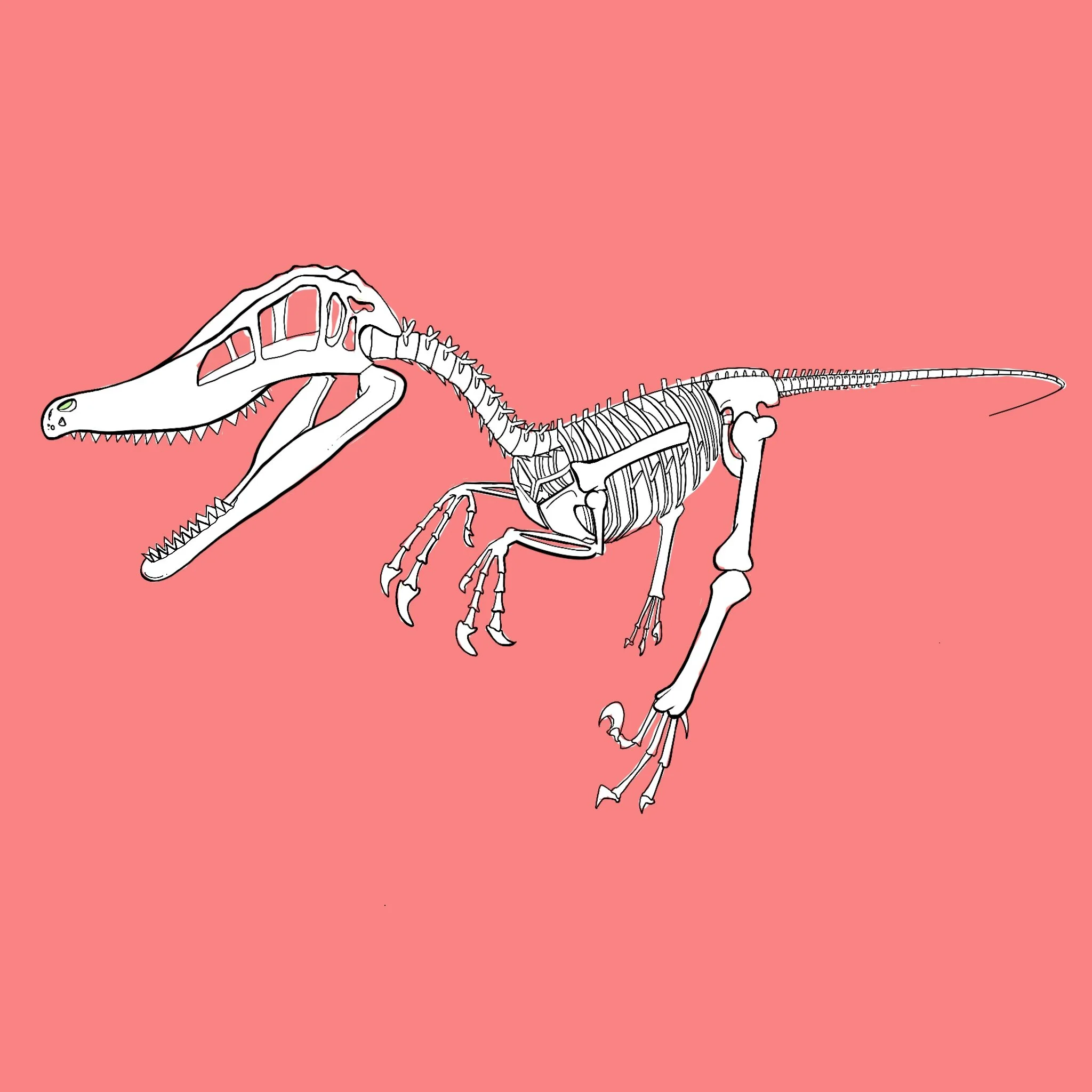 Raptor_.jpg