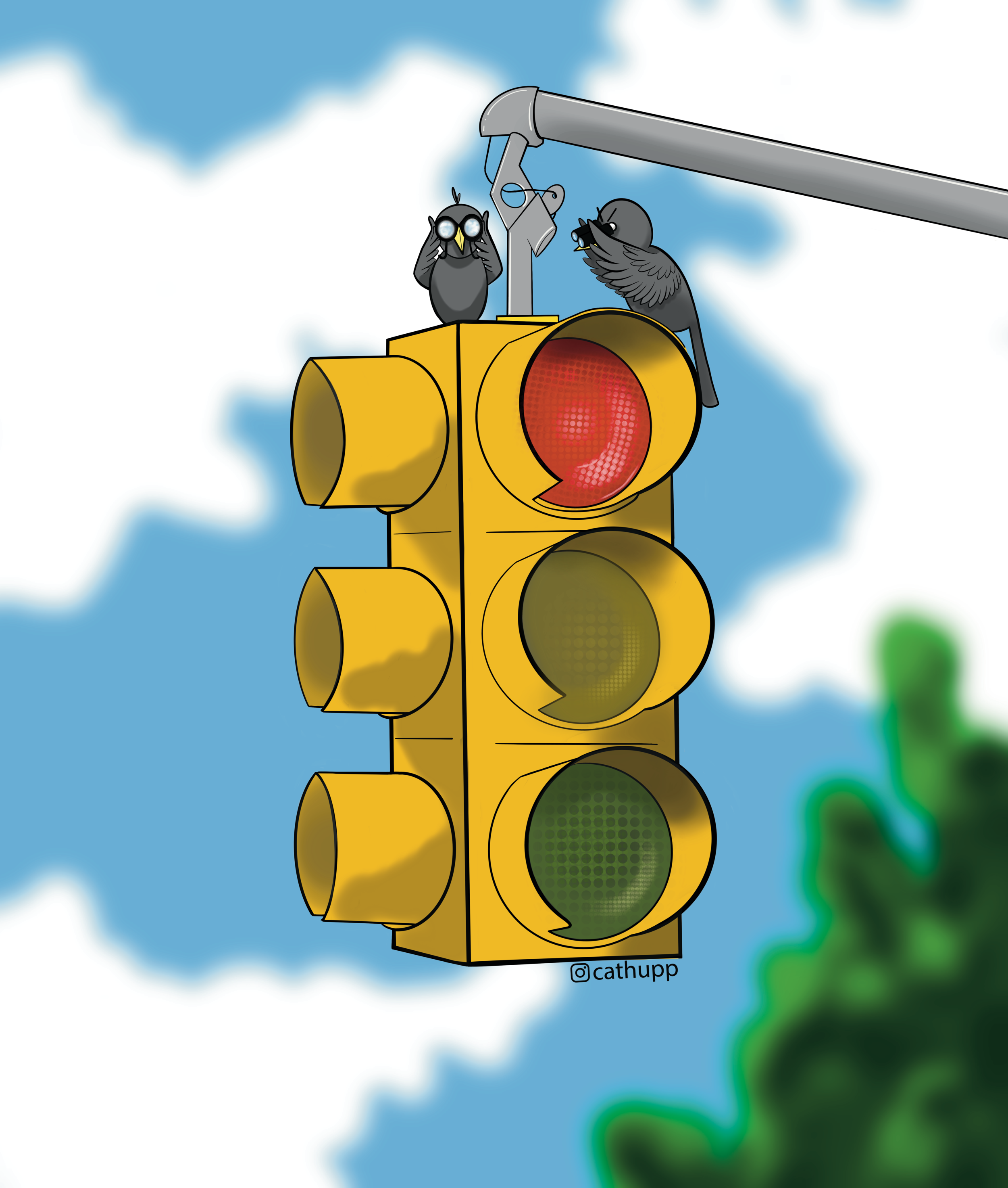 Traffic BIrds background.png