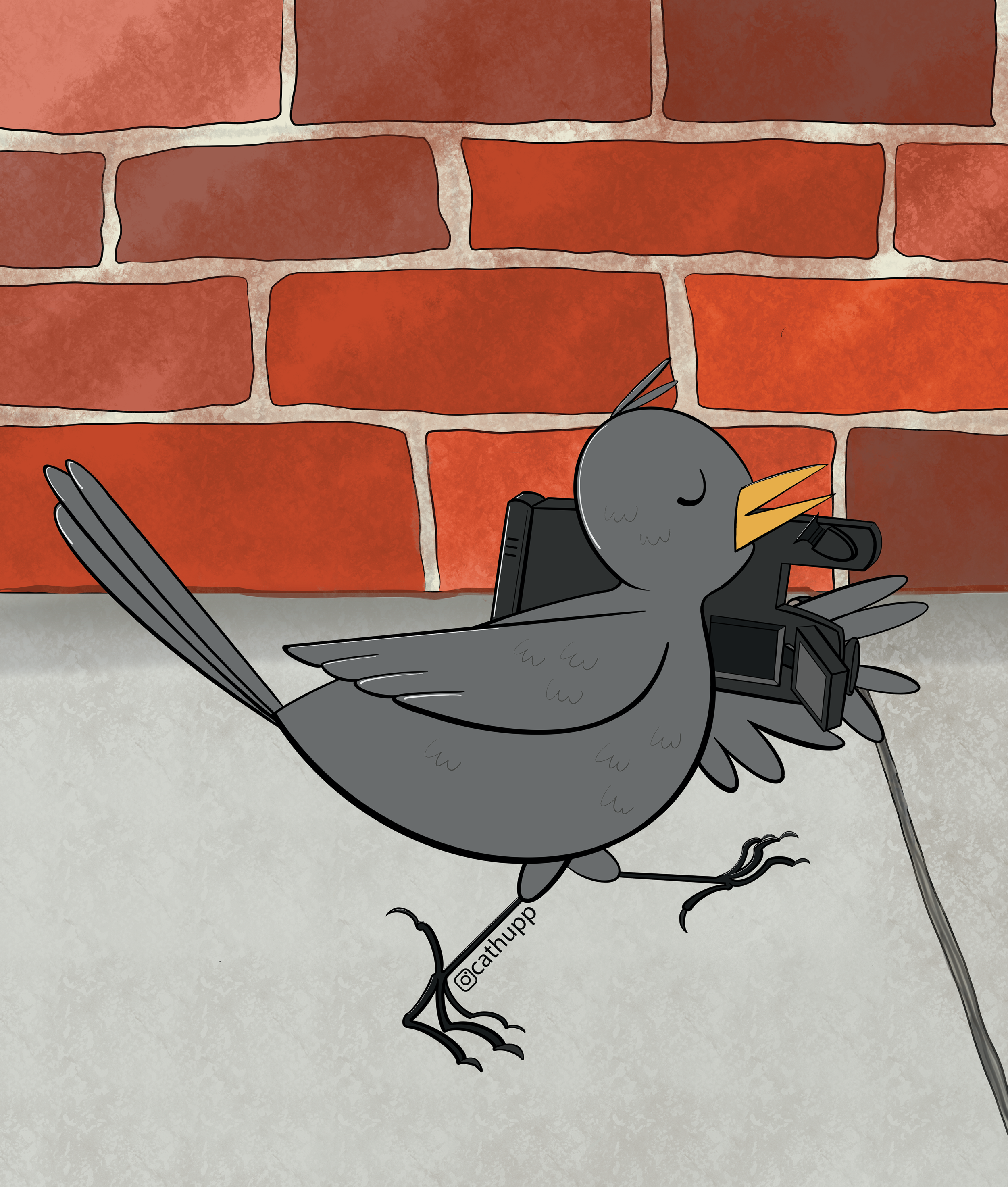 Cambird with backgroundsmallfile.png
