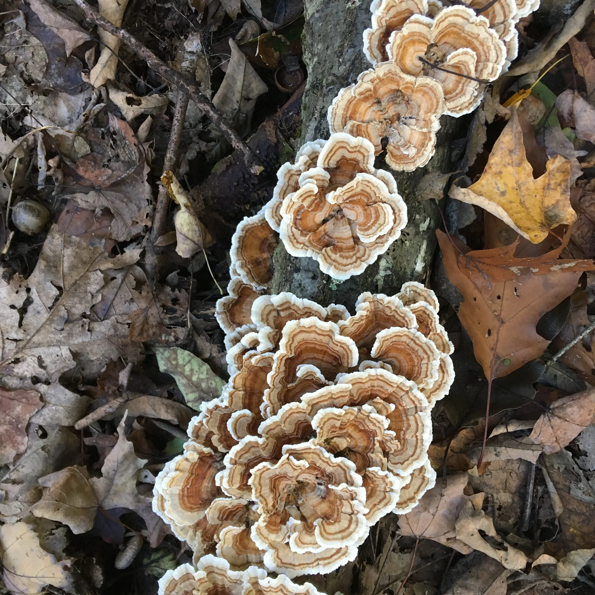 All things have a place