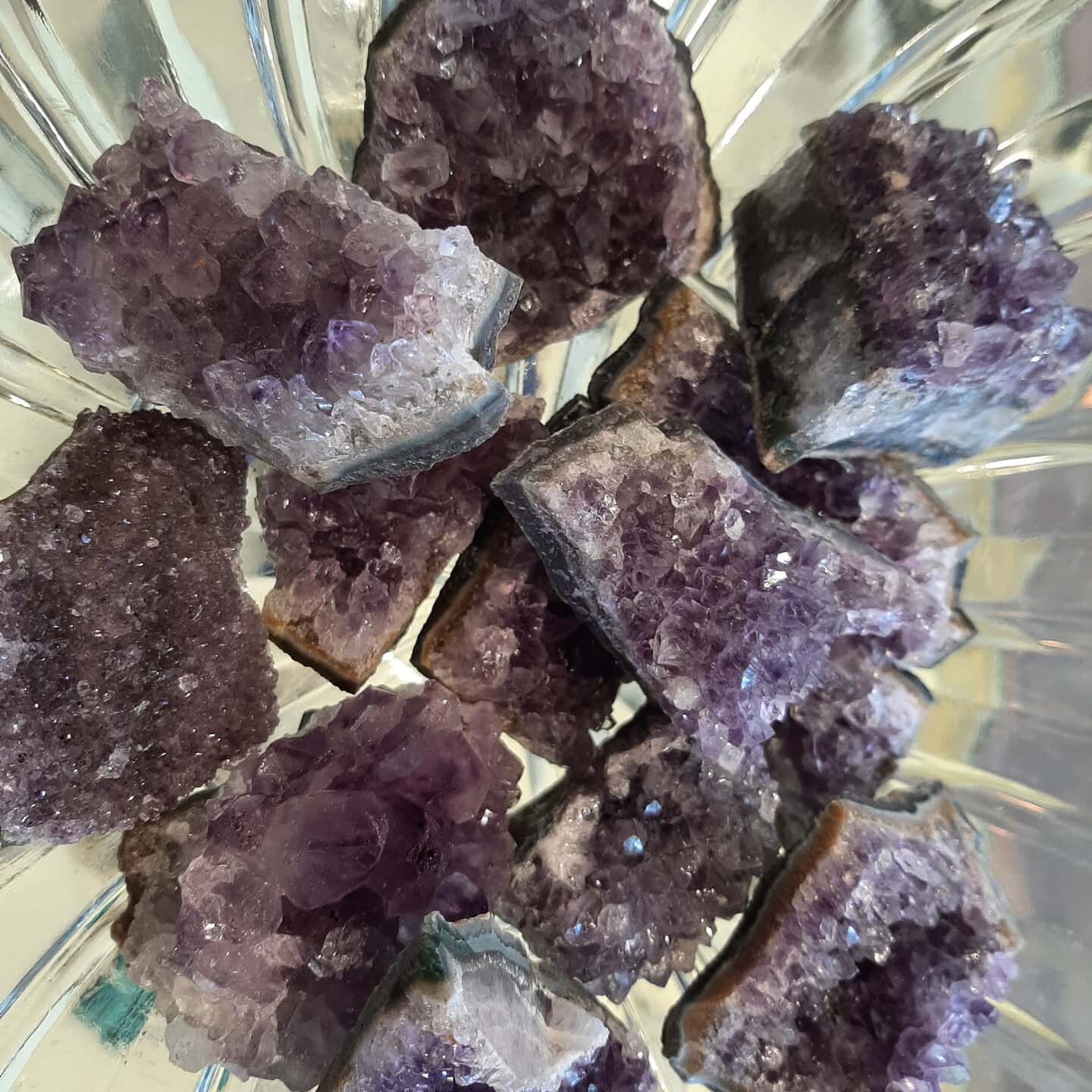 💚One FREE Amethyst cluster with every purchase today to spread a little LOVE!💚 (while supplies last)

#coloradocrystalcurio #rockshop #paoniacolorado #highway133 #amethyst #happyvalentinesday #wearelove