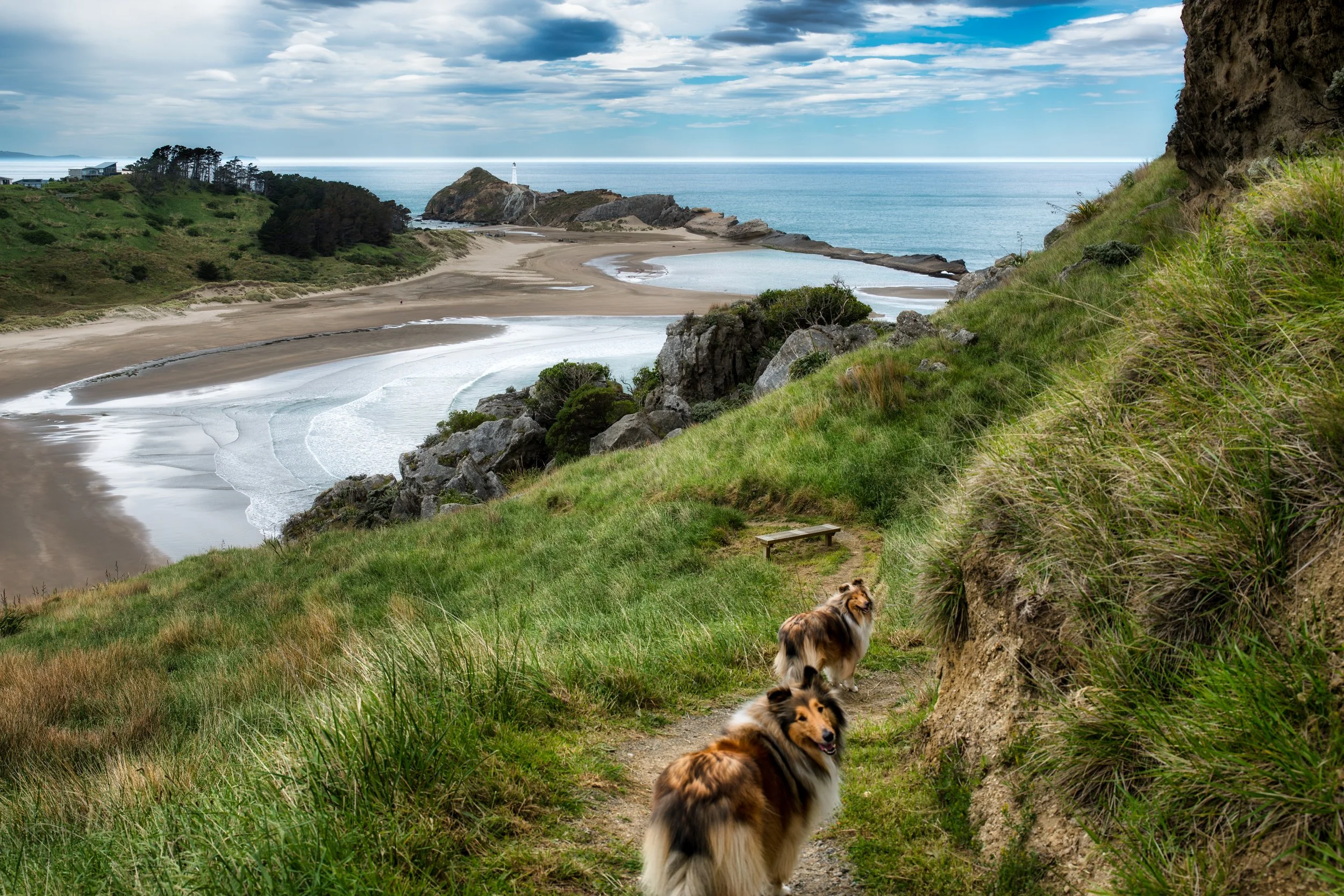 Wairarapa — NZ House & Garden Tours