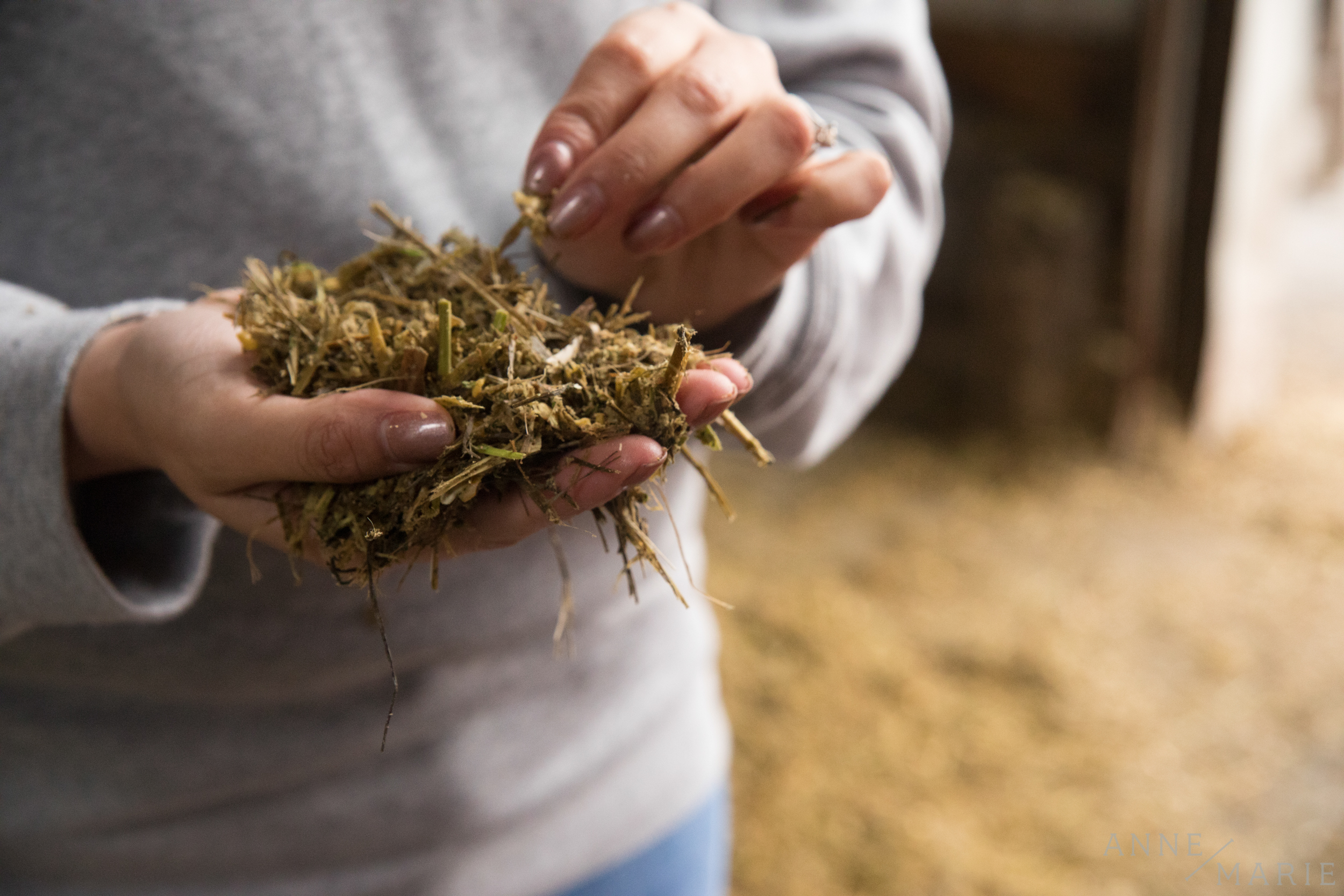  The quality of milk is determined by the quality of feed, Nidia says. 