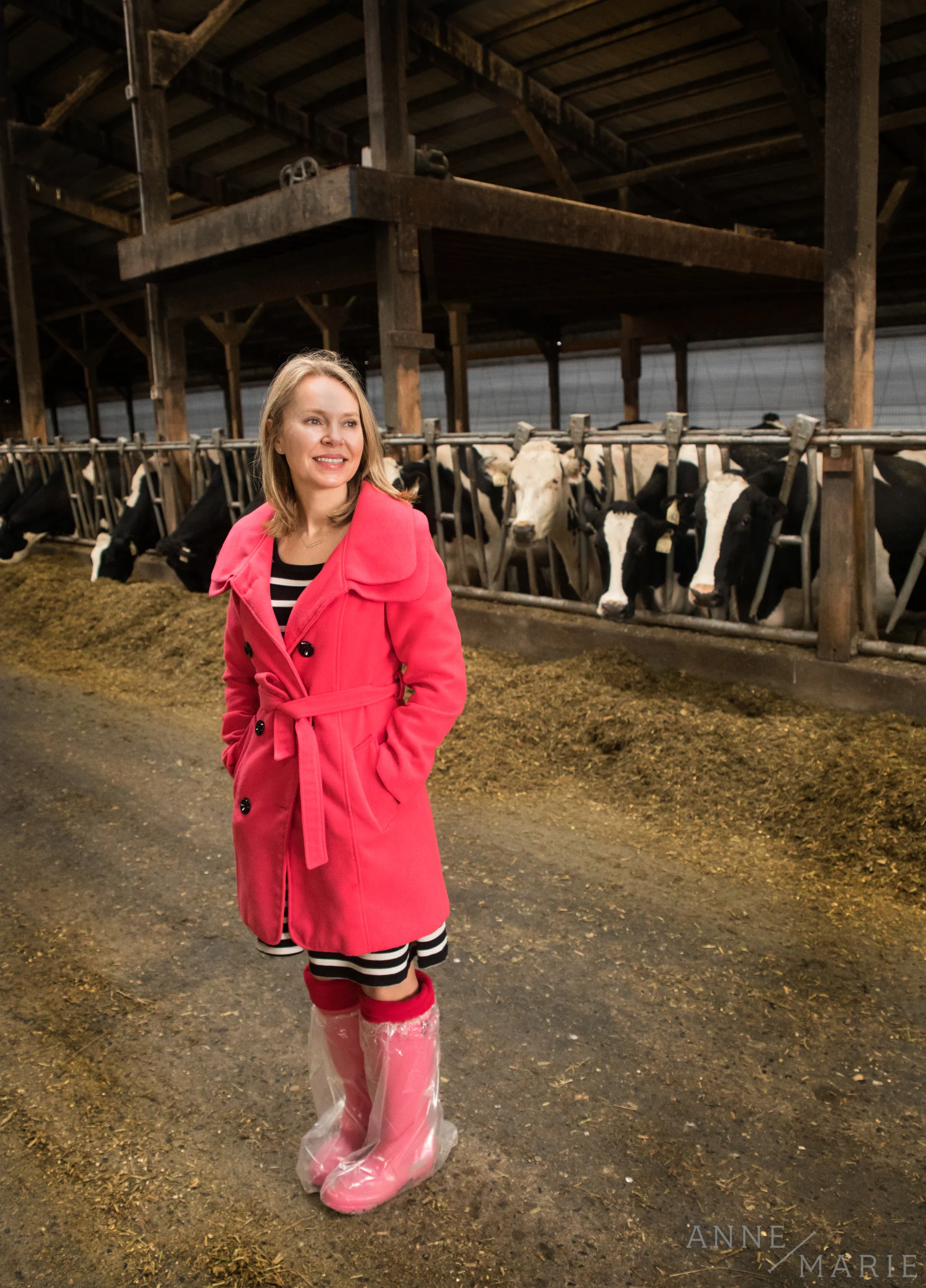 Anne-Marie surveys the barn full of cows.