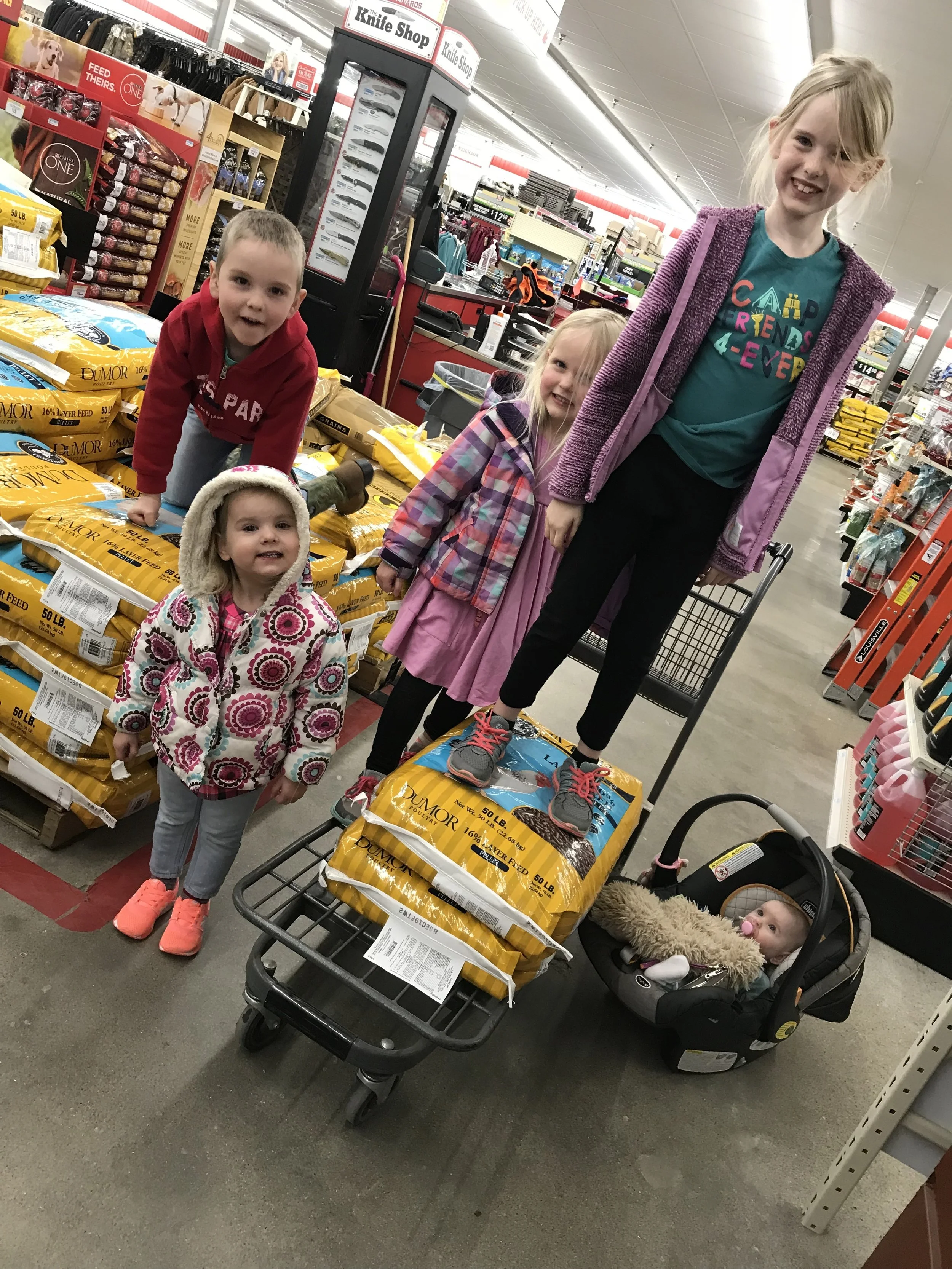 Money can't buy happiness... but it can buy chickens!