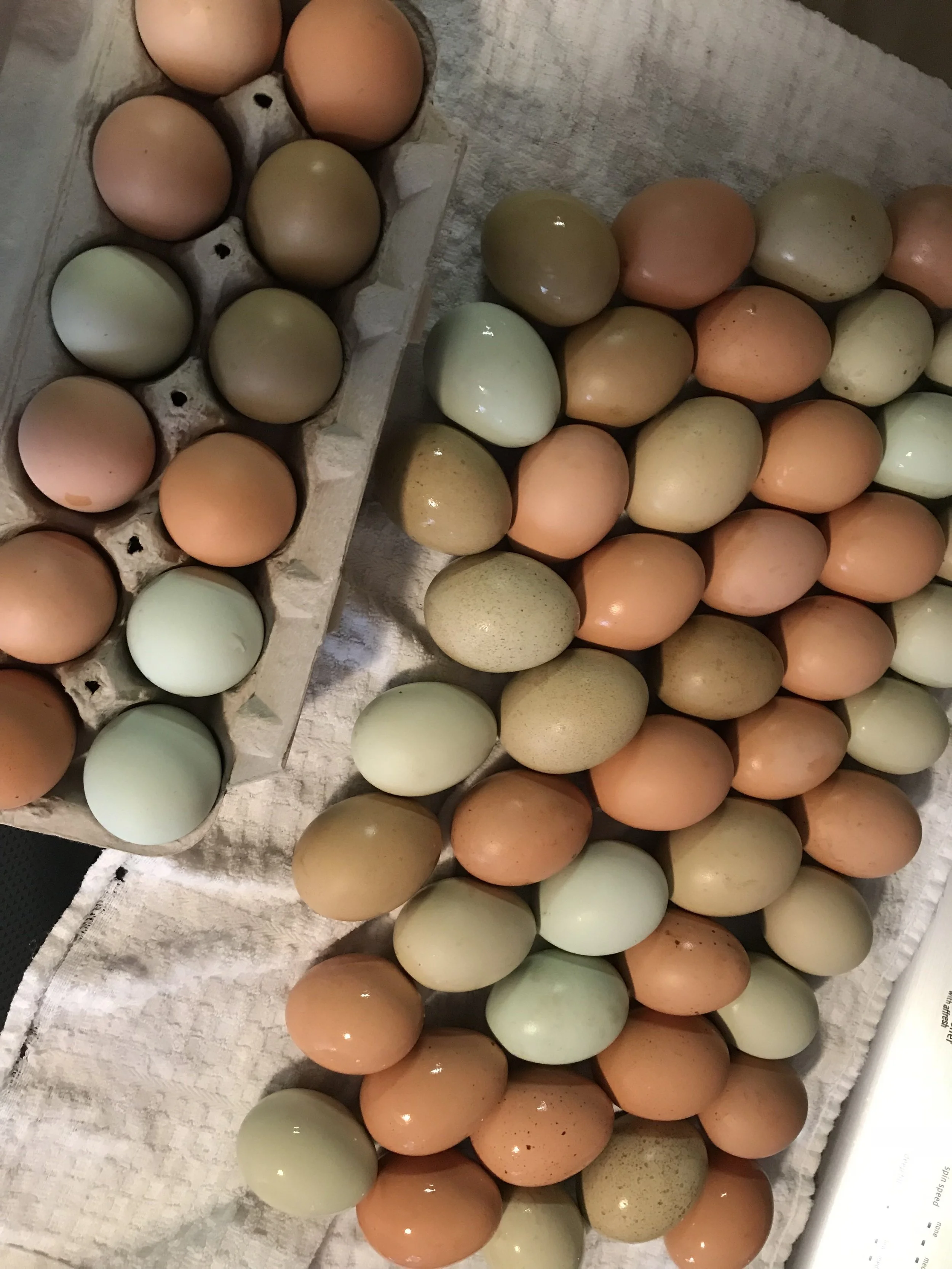 The Farmwife vs. The Utility Room 