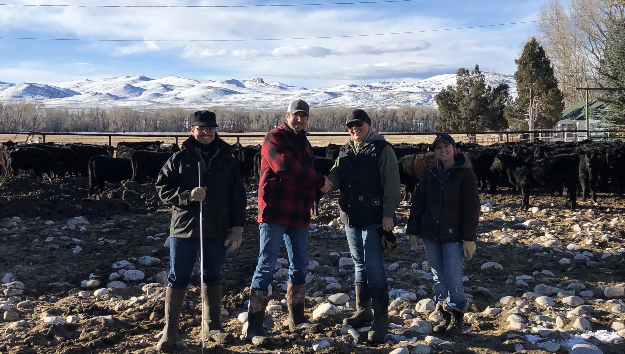 Behind the scenes beef production!