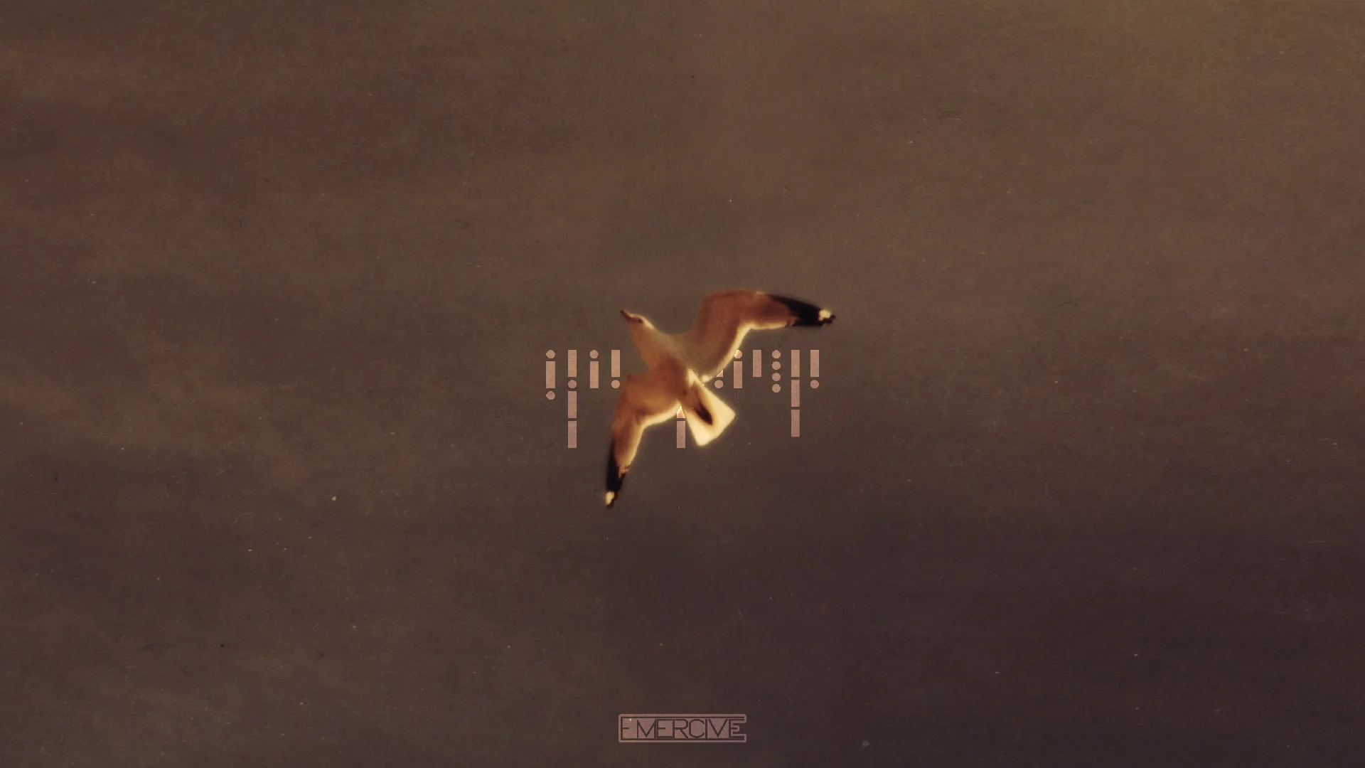 16-9 LTMS_COVER.jpg