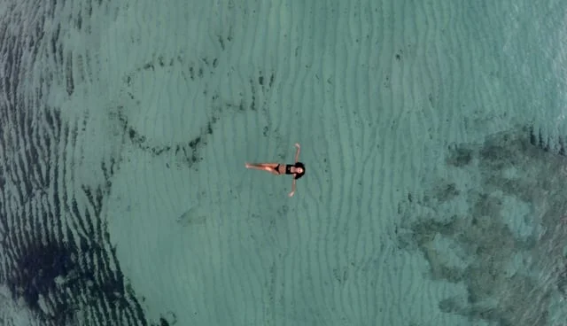 SBC // TRANIN FILM  // Season 2 Trailer