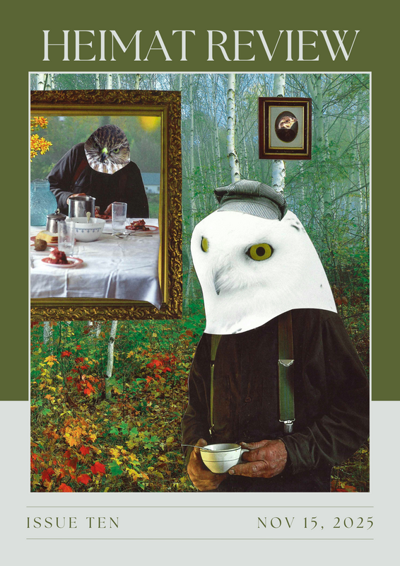 Heimat Review: Strange Friends